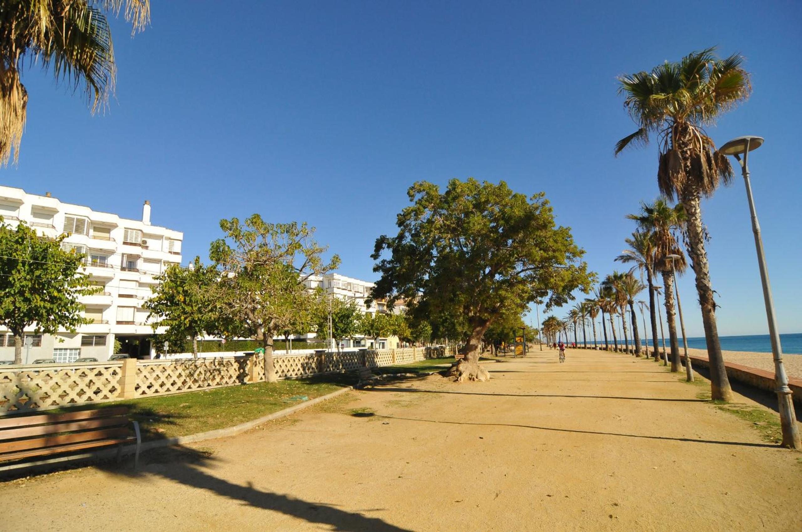 HomeHolidaysRentals Palm Beach - Costa Barcelona