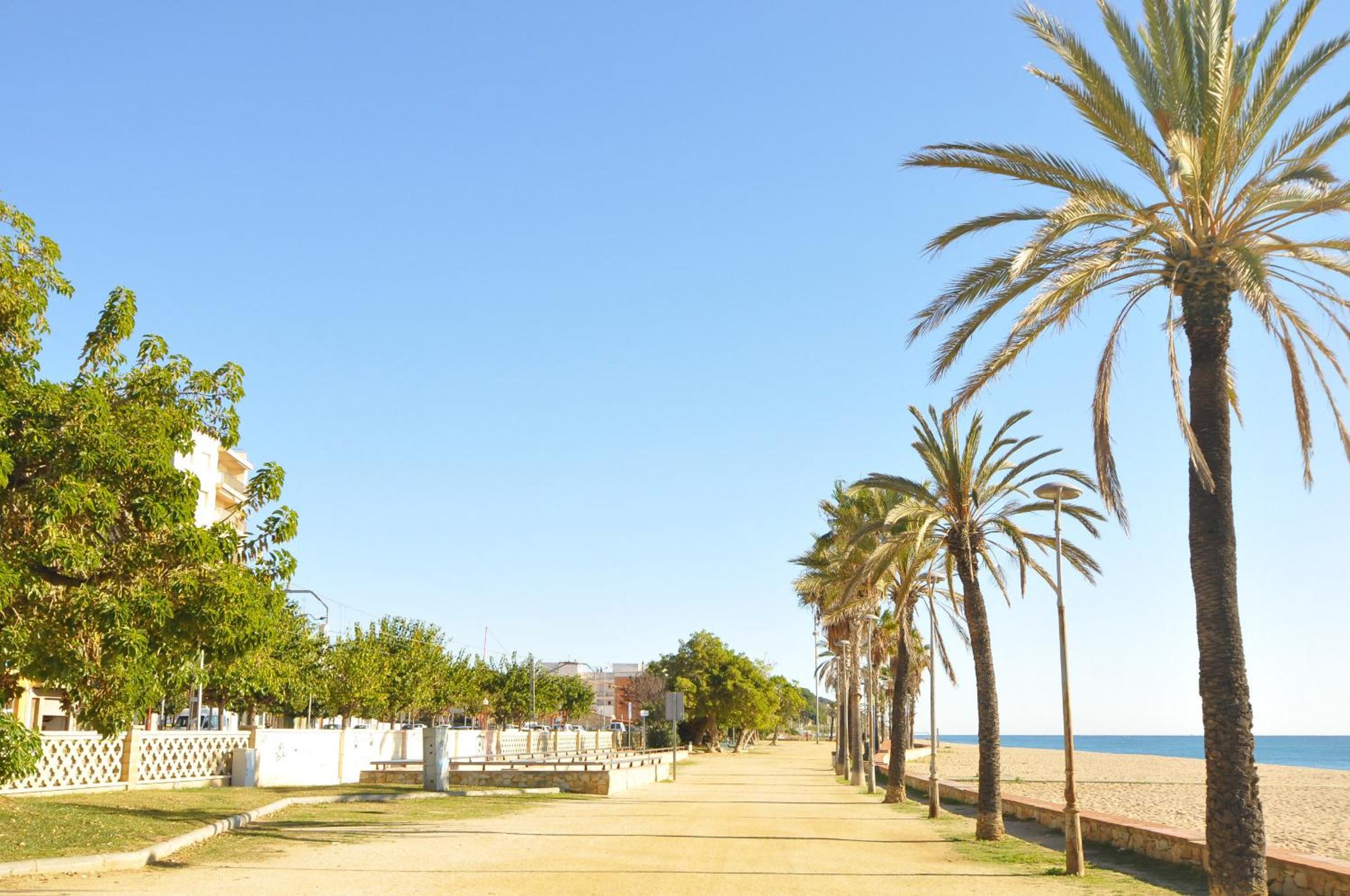 HomeHolidaysRentals Palm Beach - Costa Barcelona