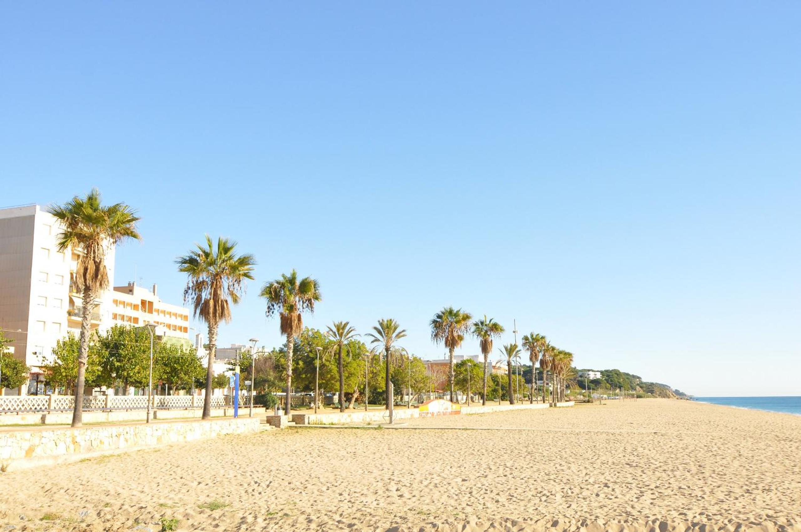 HomeHolidaysRentals Palm Beach - Costa Barcelona