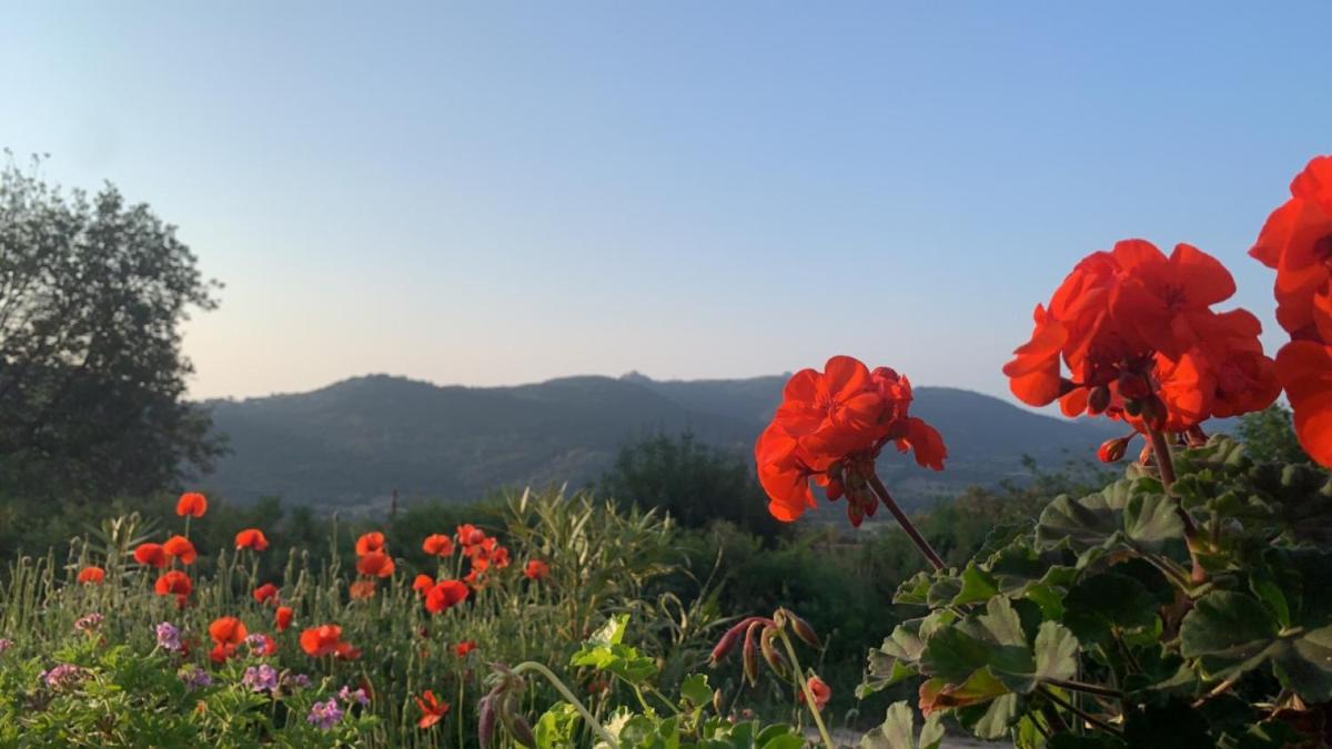 U Sognu view 3