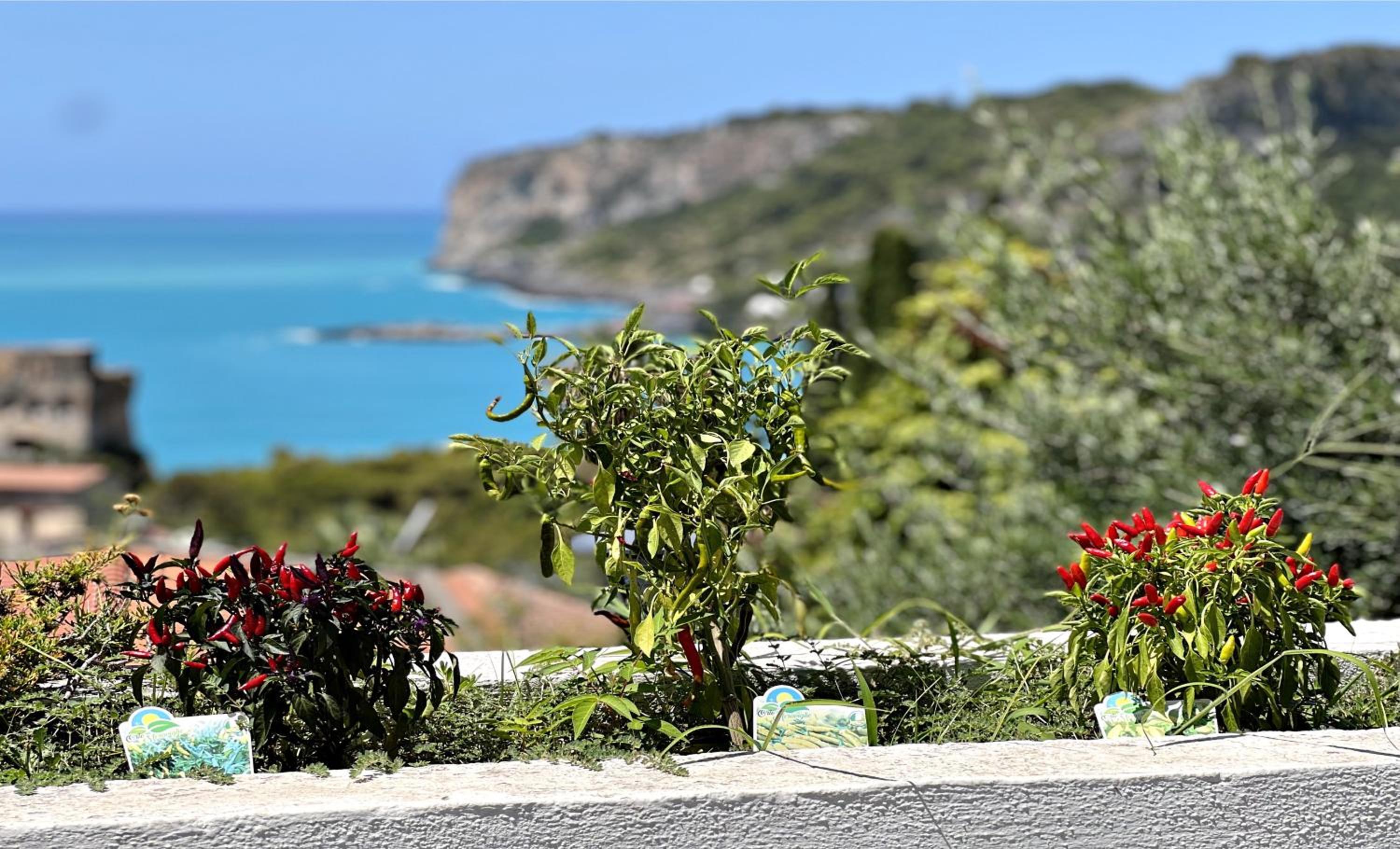 Villa Nappi Bed & Breakfast view 5