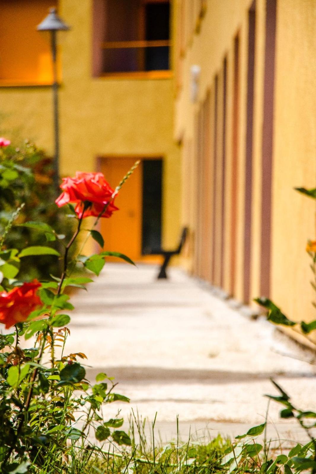Modern Apt in Mangalem21 Complex WiFi,AC