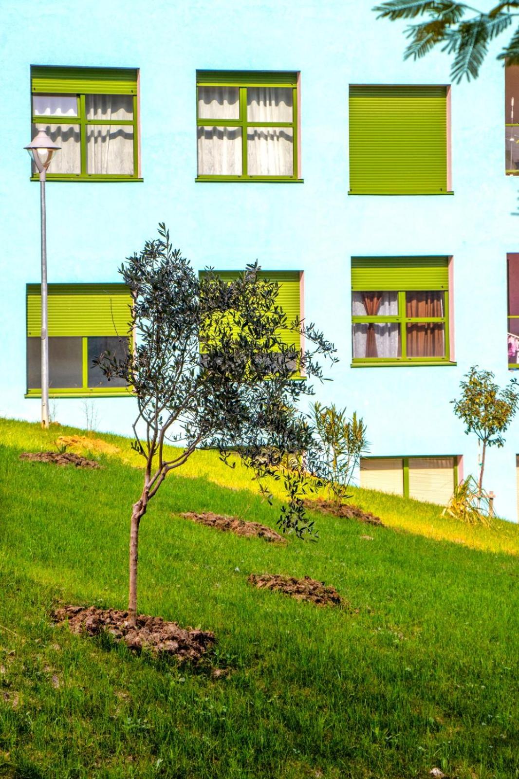 Modern Apt in Mangalem21 Complex WiFi,AC