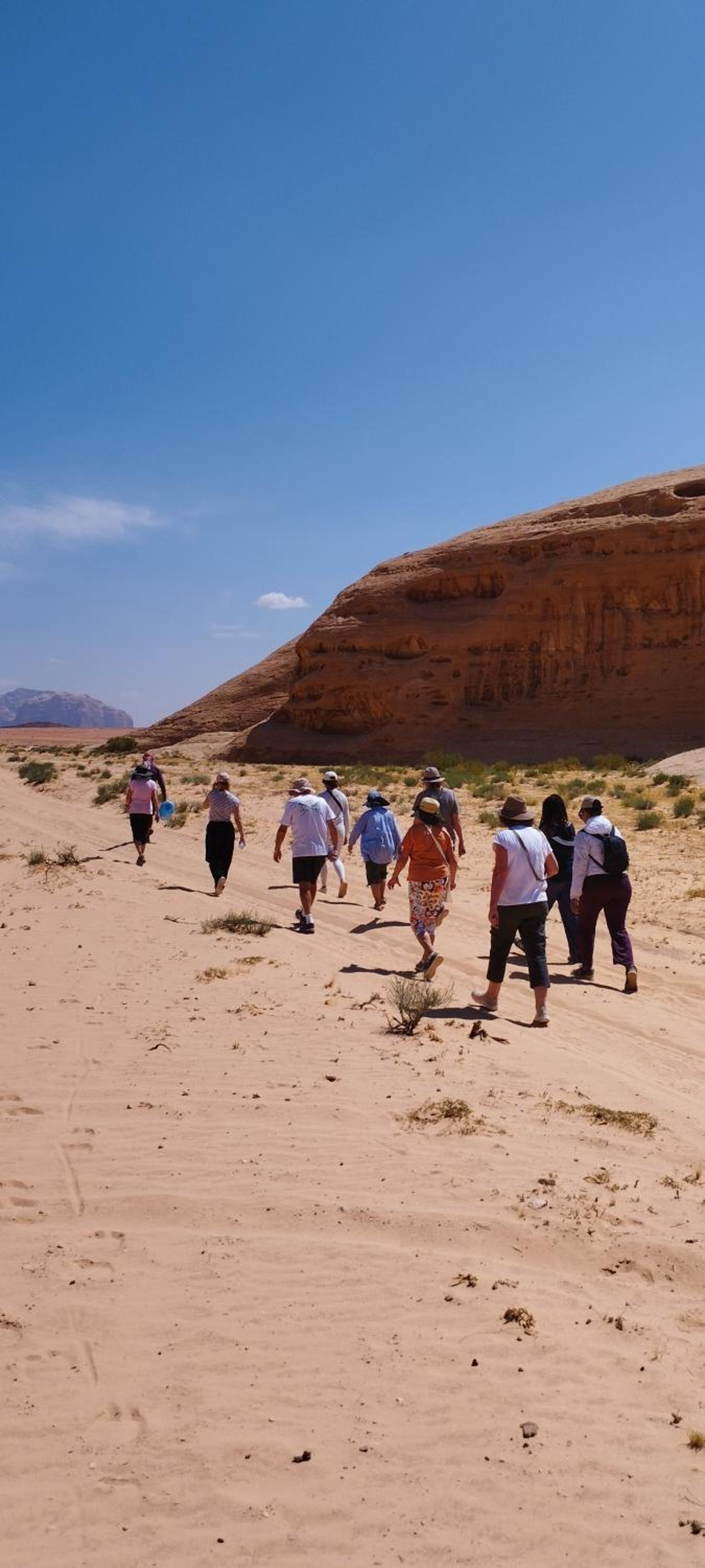 Wadi rum sand Delight camp