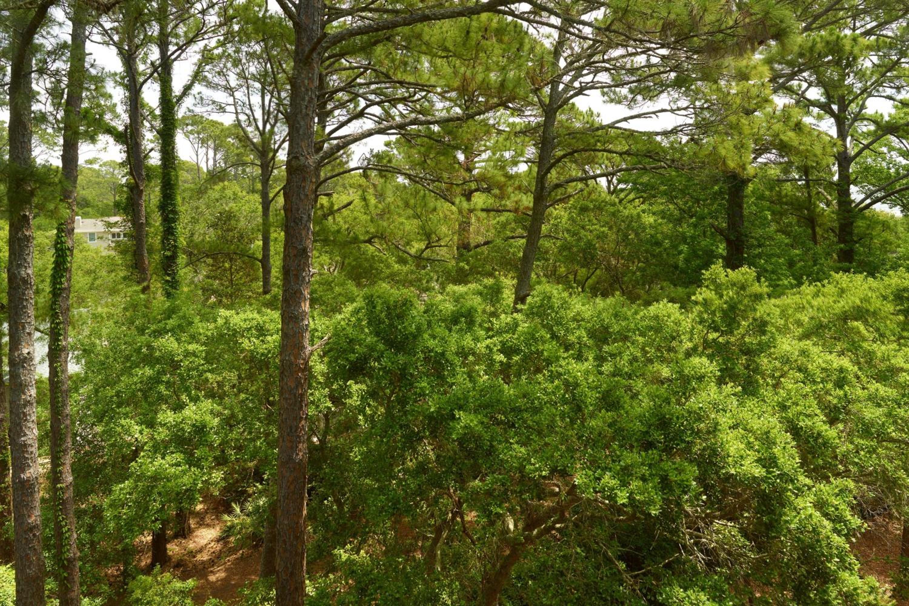 The Westin Hilton Head Island Resort & Spa, Billede 75