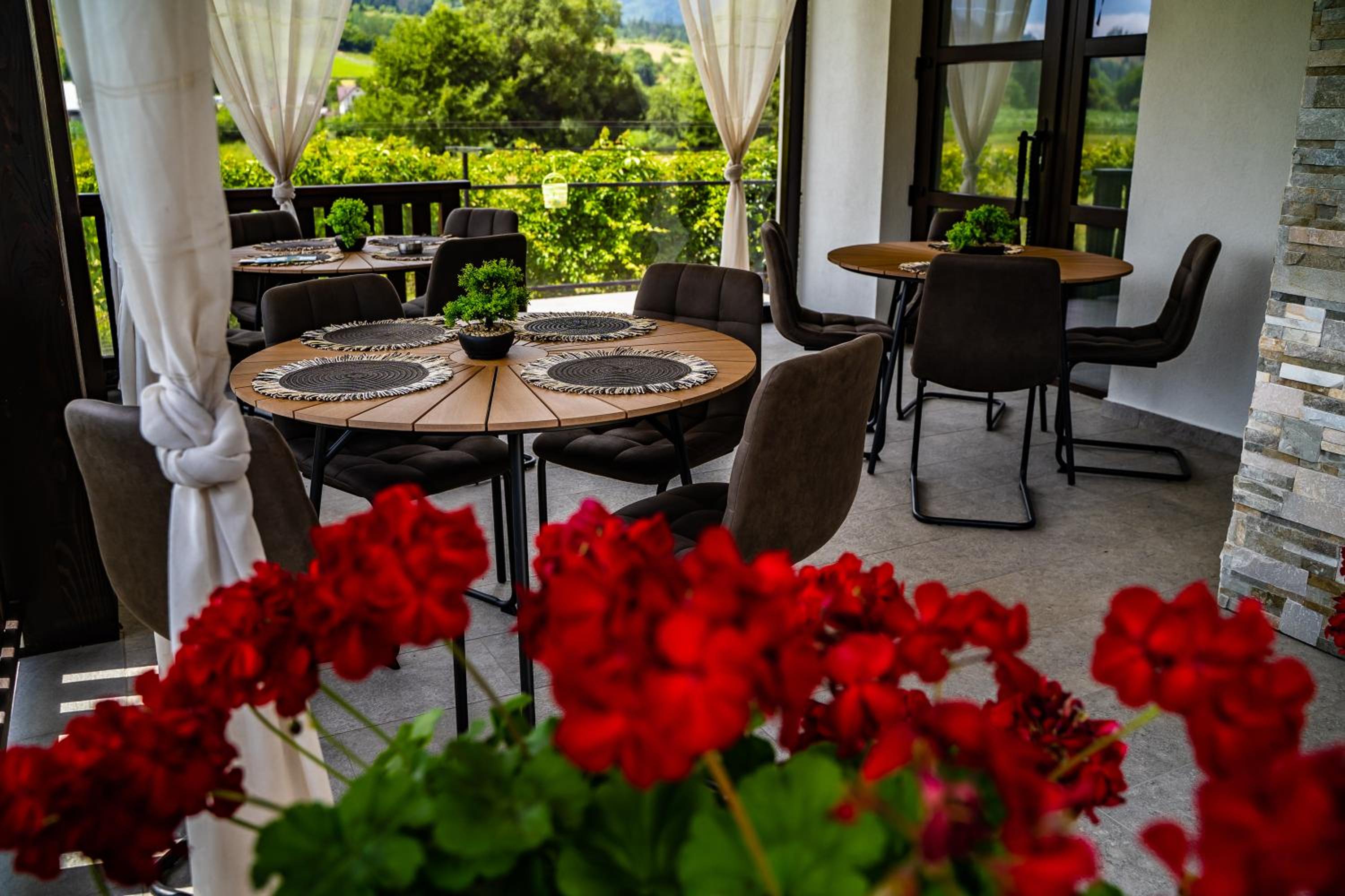 Casa Românească view 4