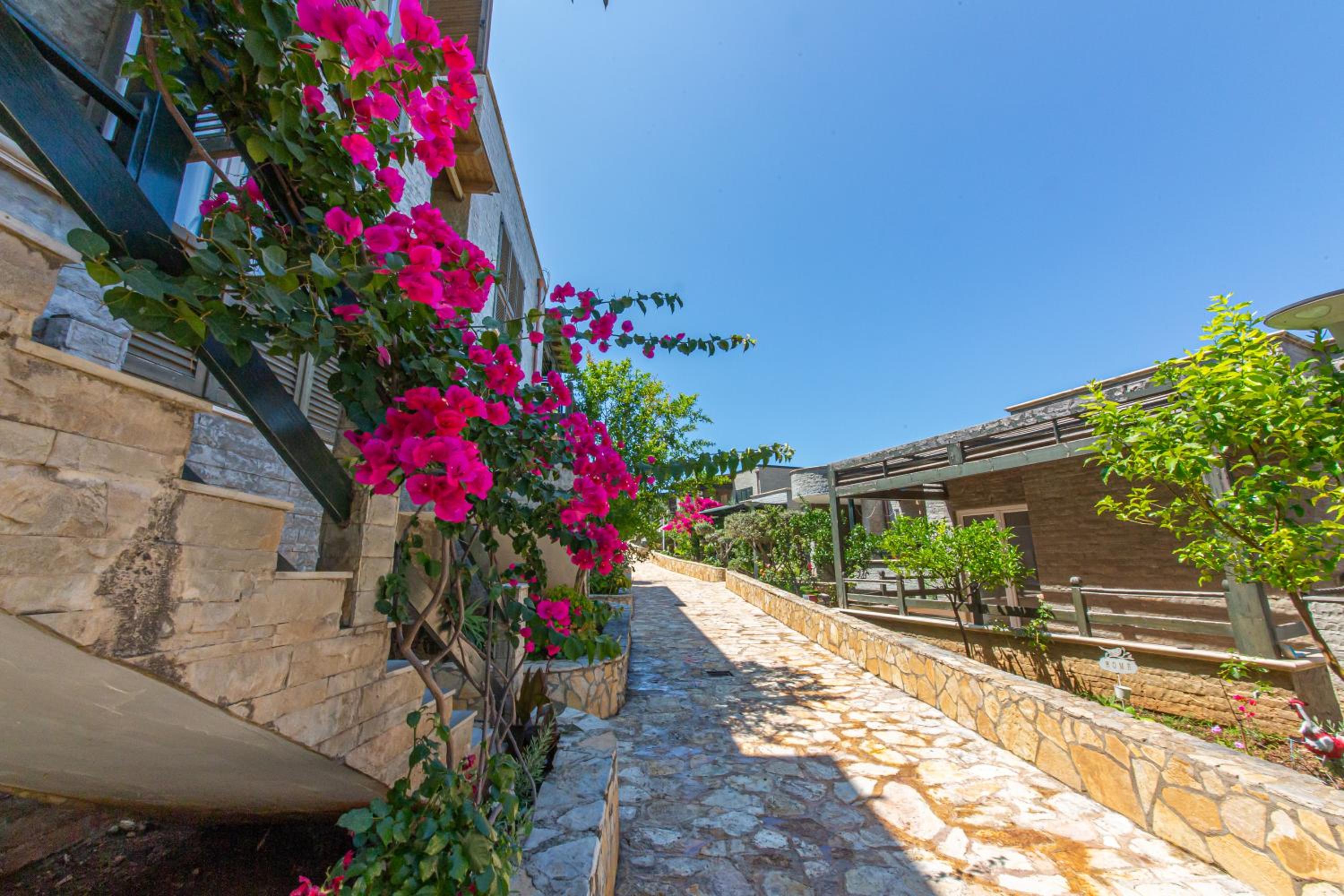 Luxury Villa 2