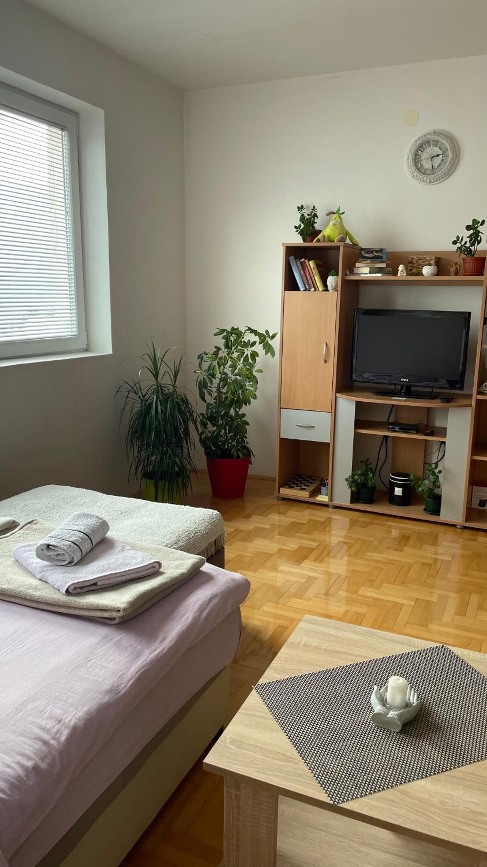 APARTMENT JOVOVIC view 5