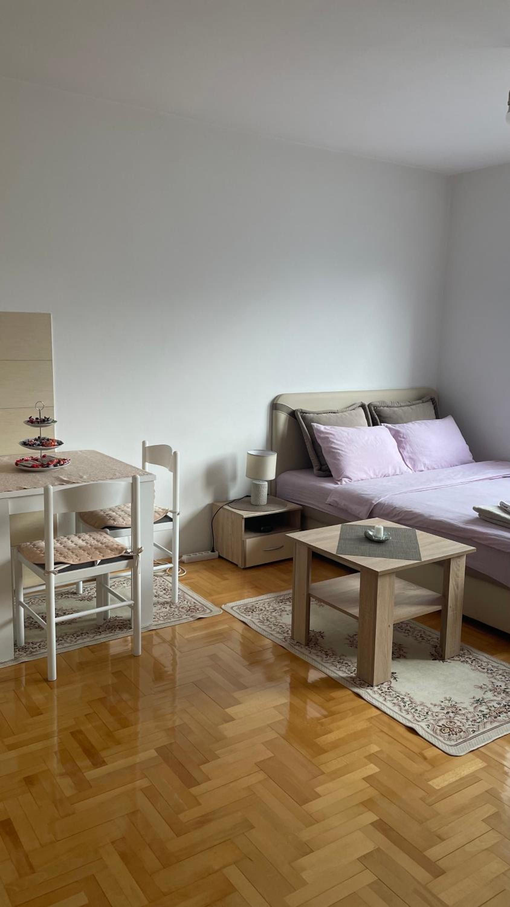 APARTMENT JOVOVIC view 2