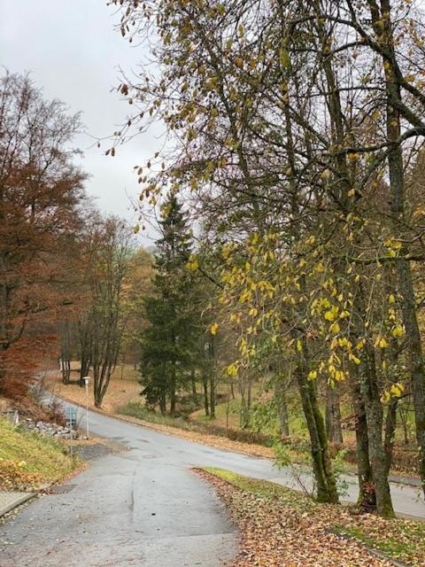 Diemelquelle