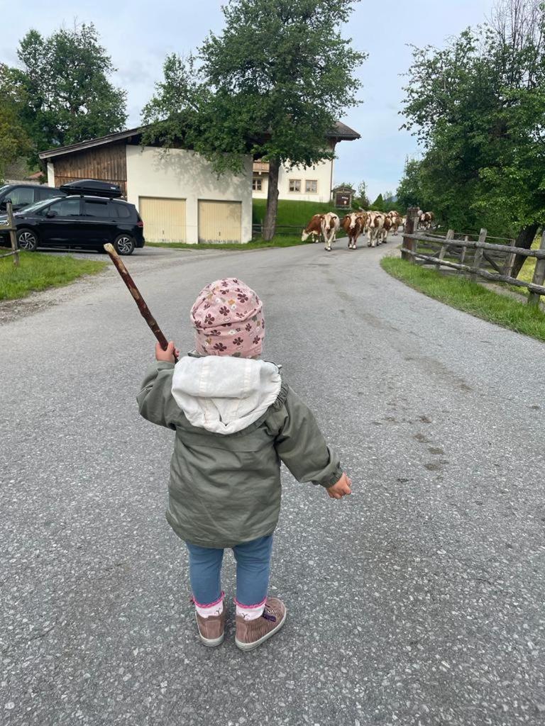 Ferienparadies Taxen