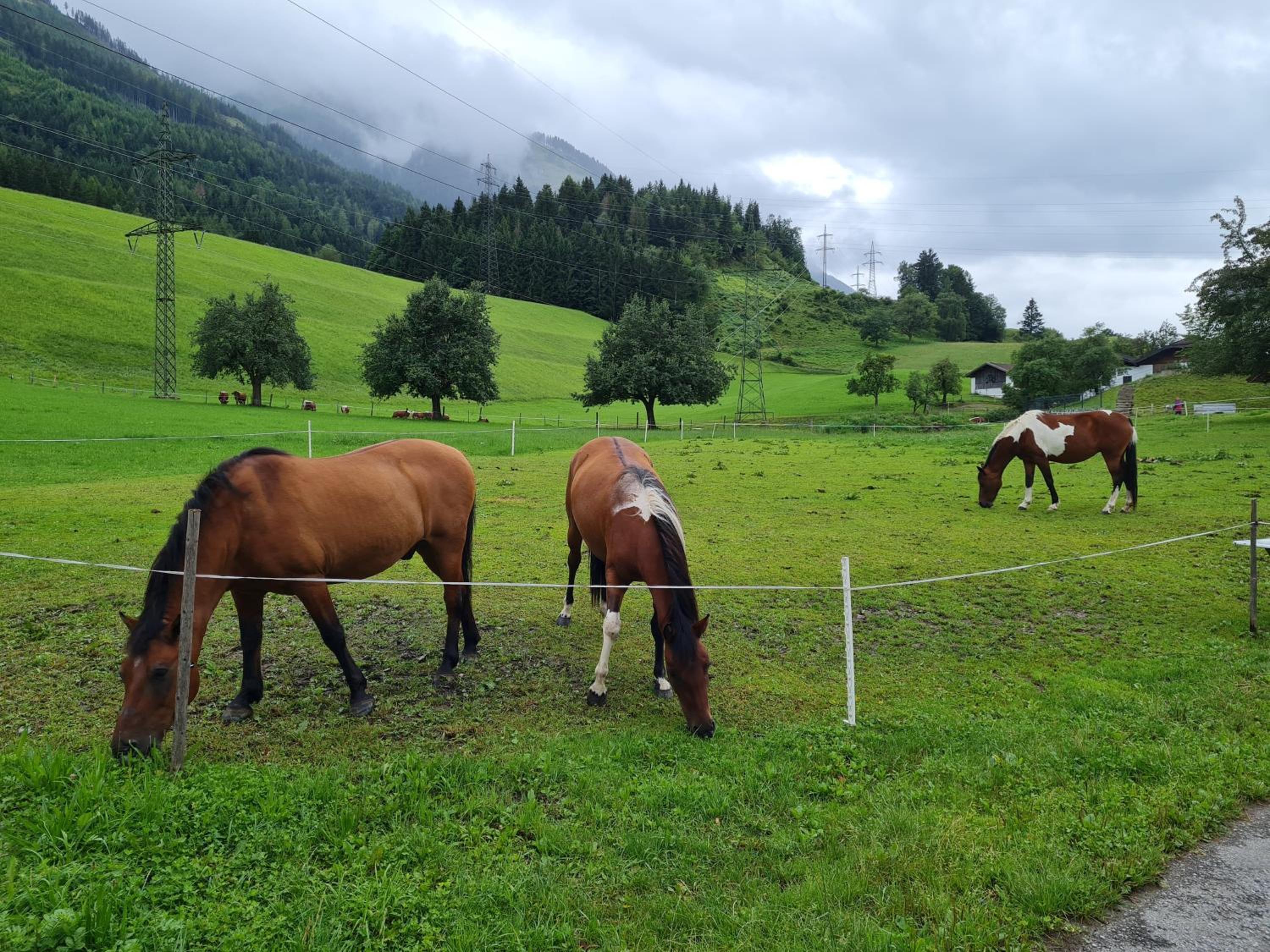 Ferienparadies Taxen