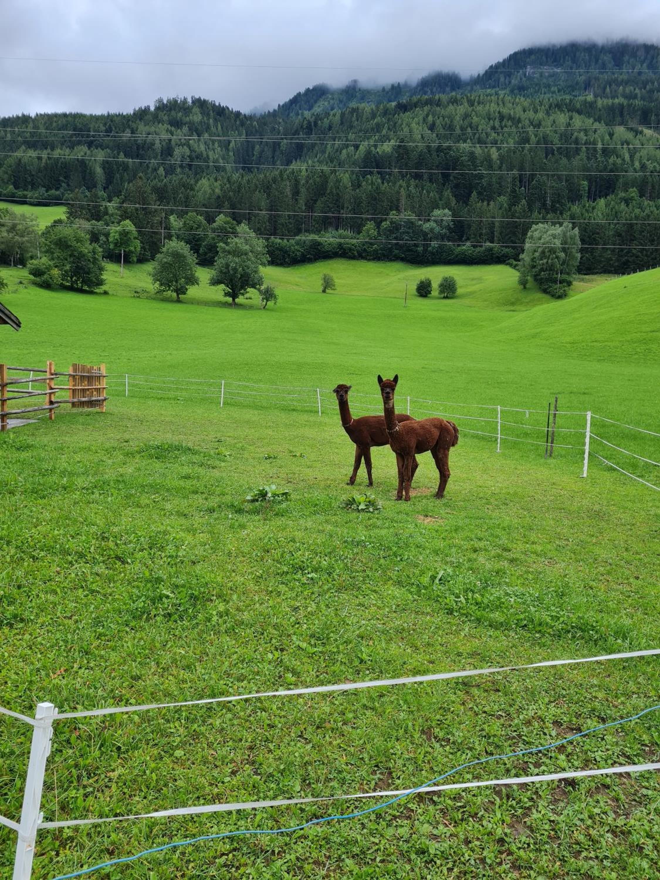 Ferienparadies Taxen