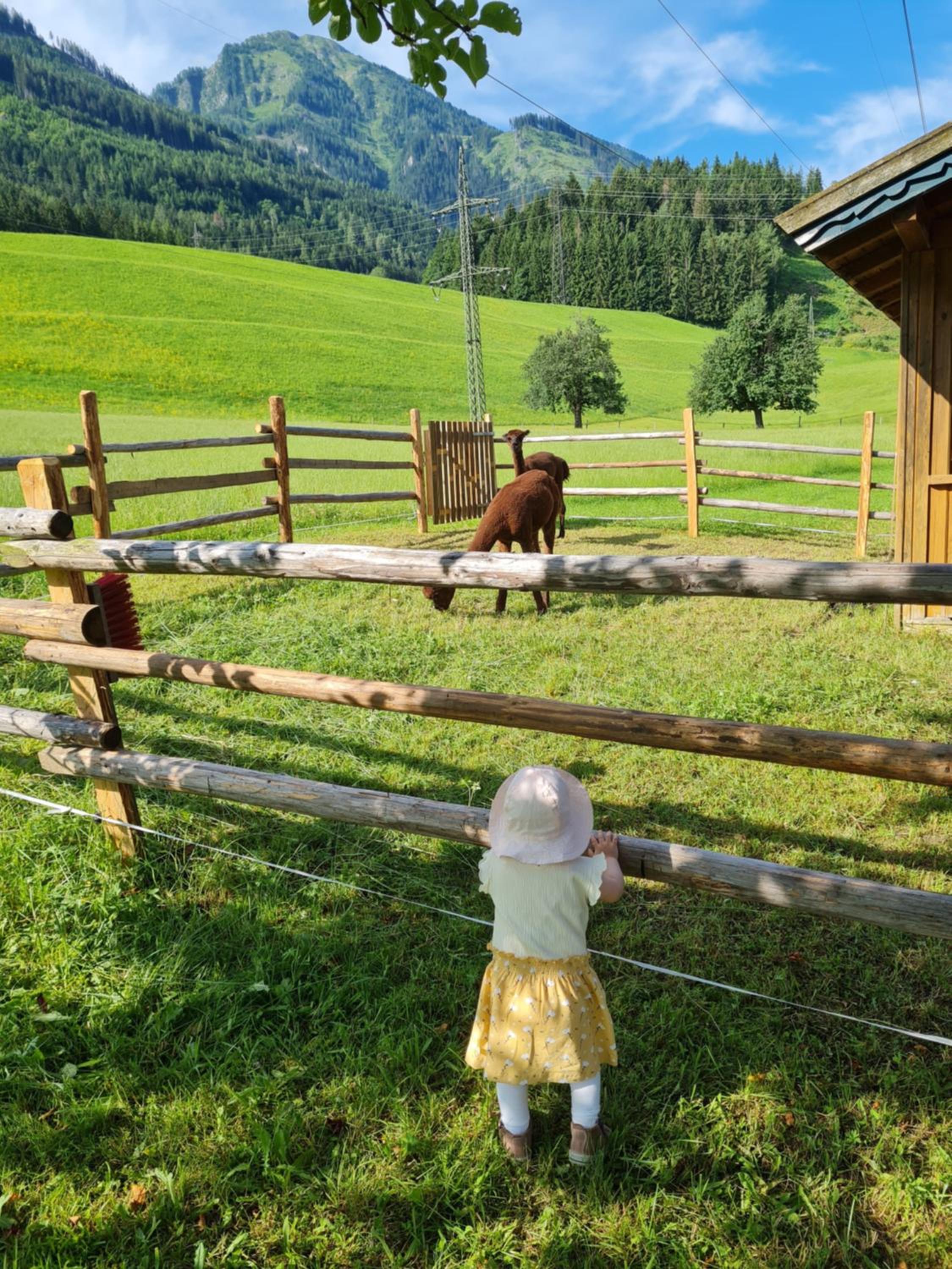 Ferienparadies Taxen