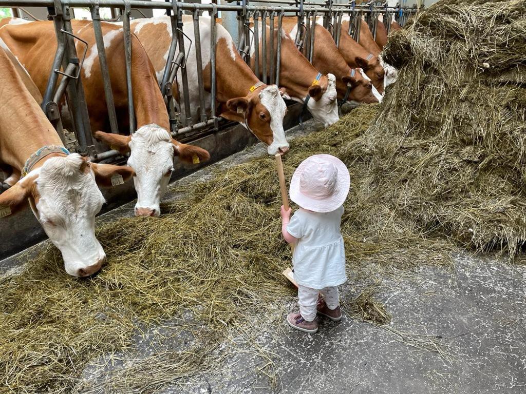 Ferienparadies Taxen