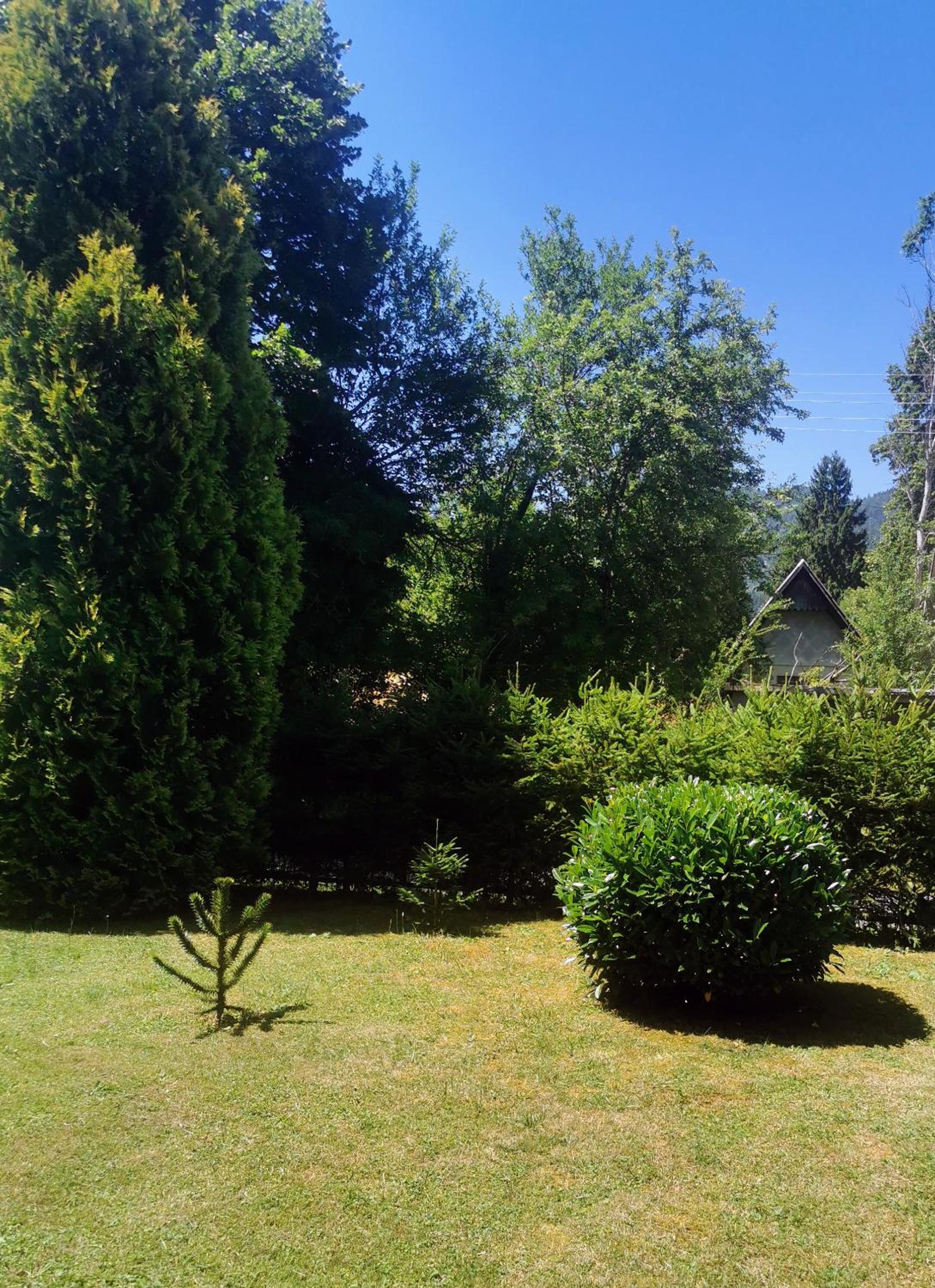 Photo 37