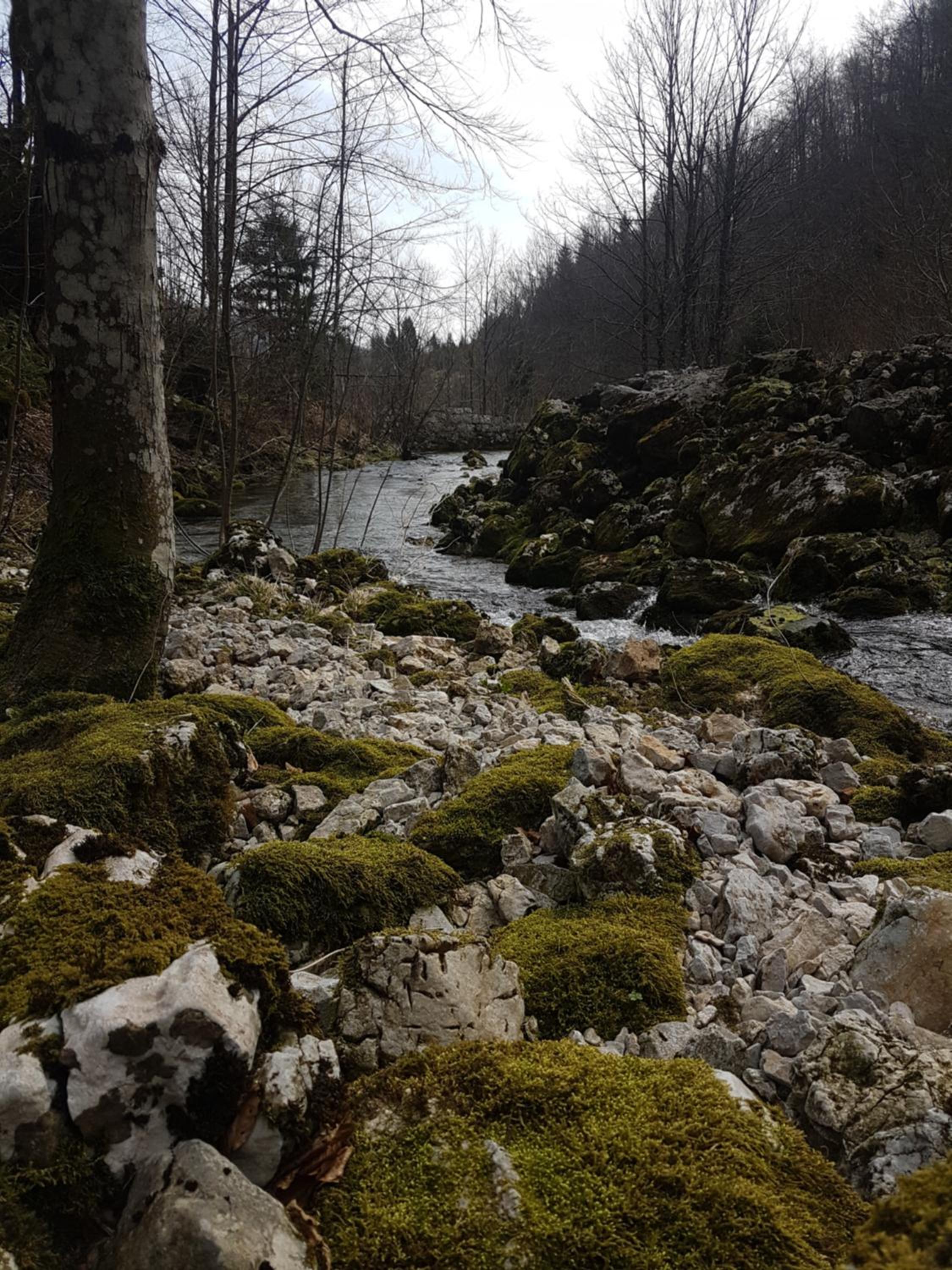 Photo 49