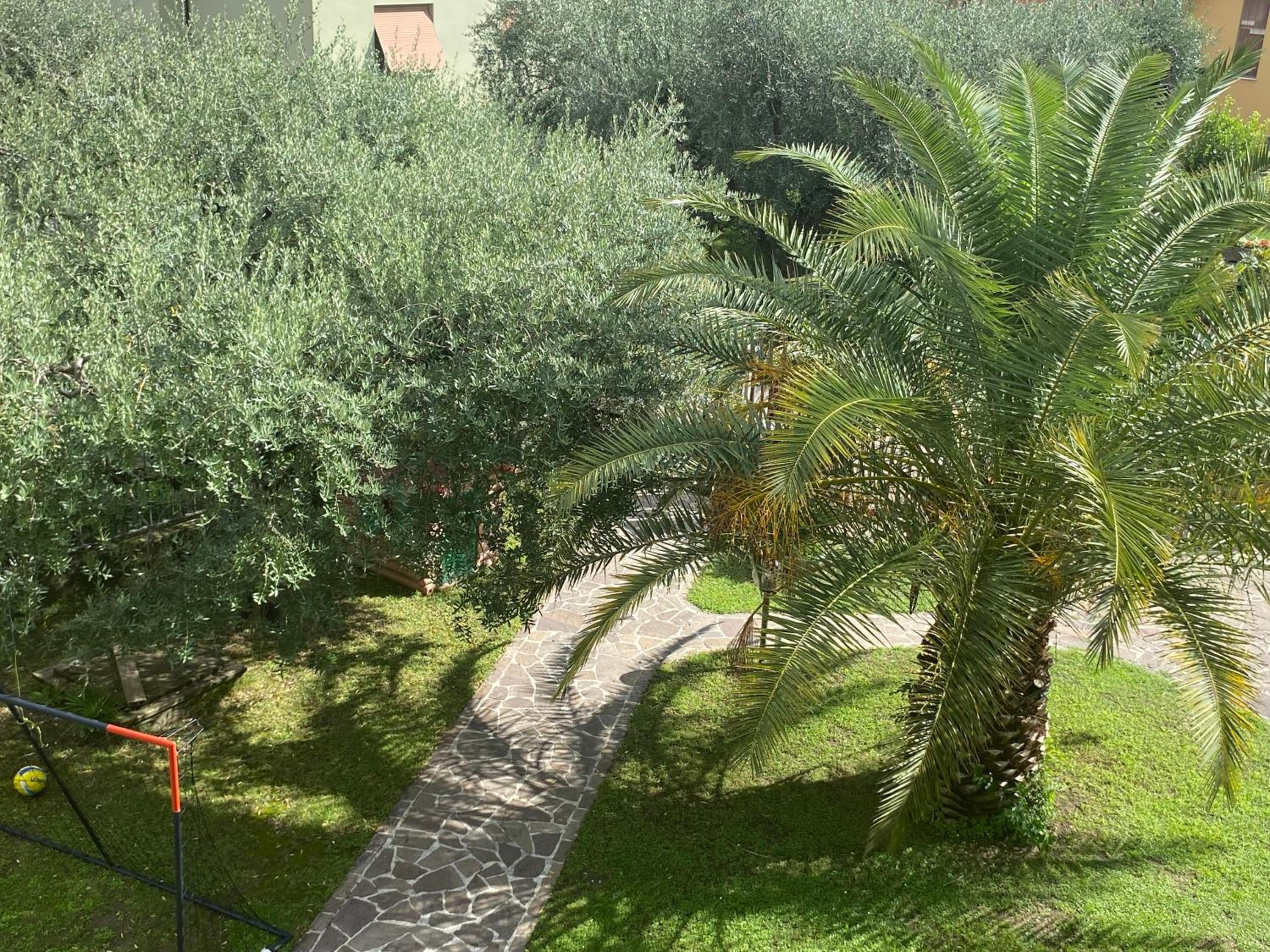 DueOlivi