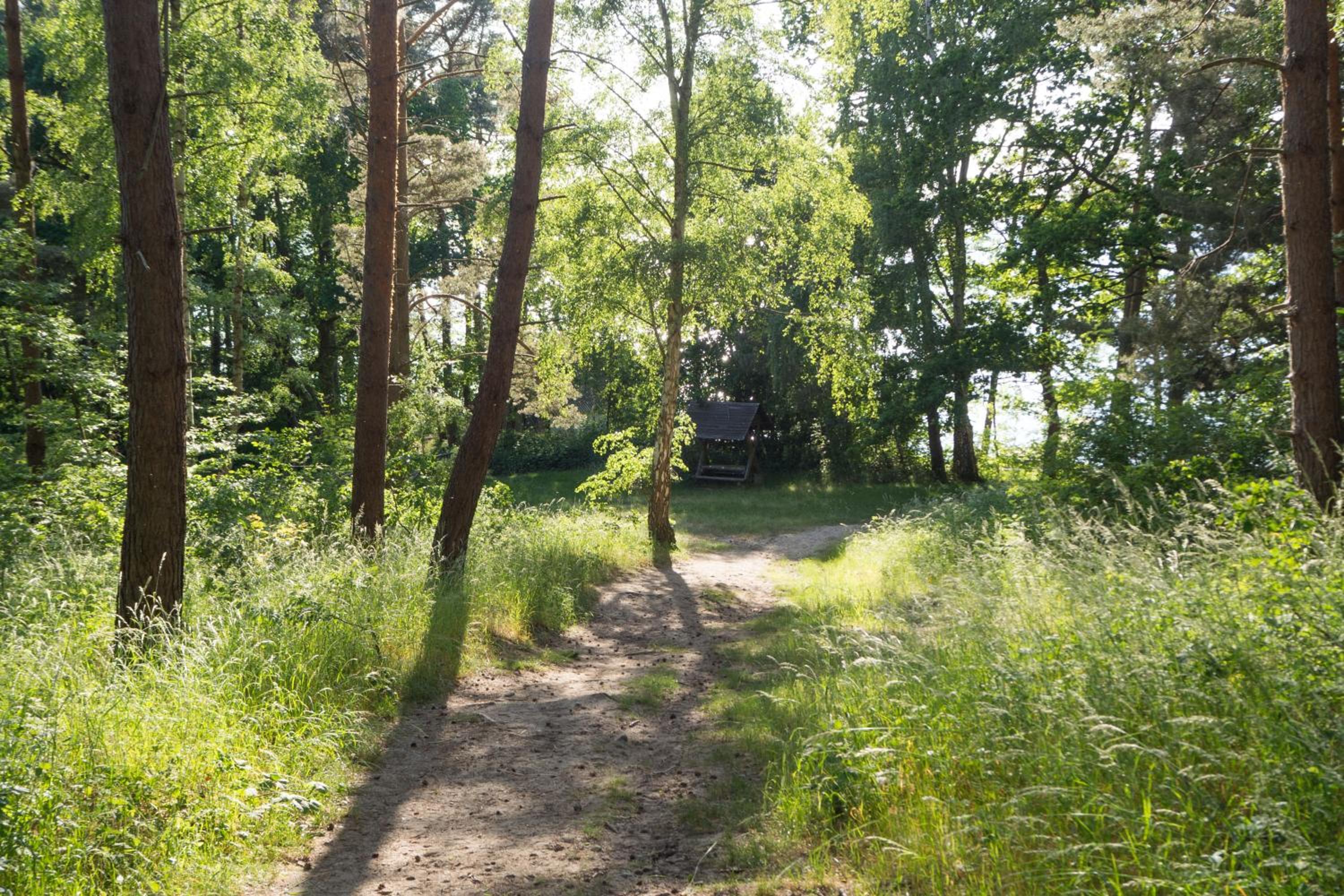 Ferienhaus Natur Pur, Lenz, Lenzer Höh
