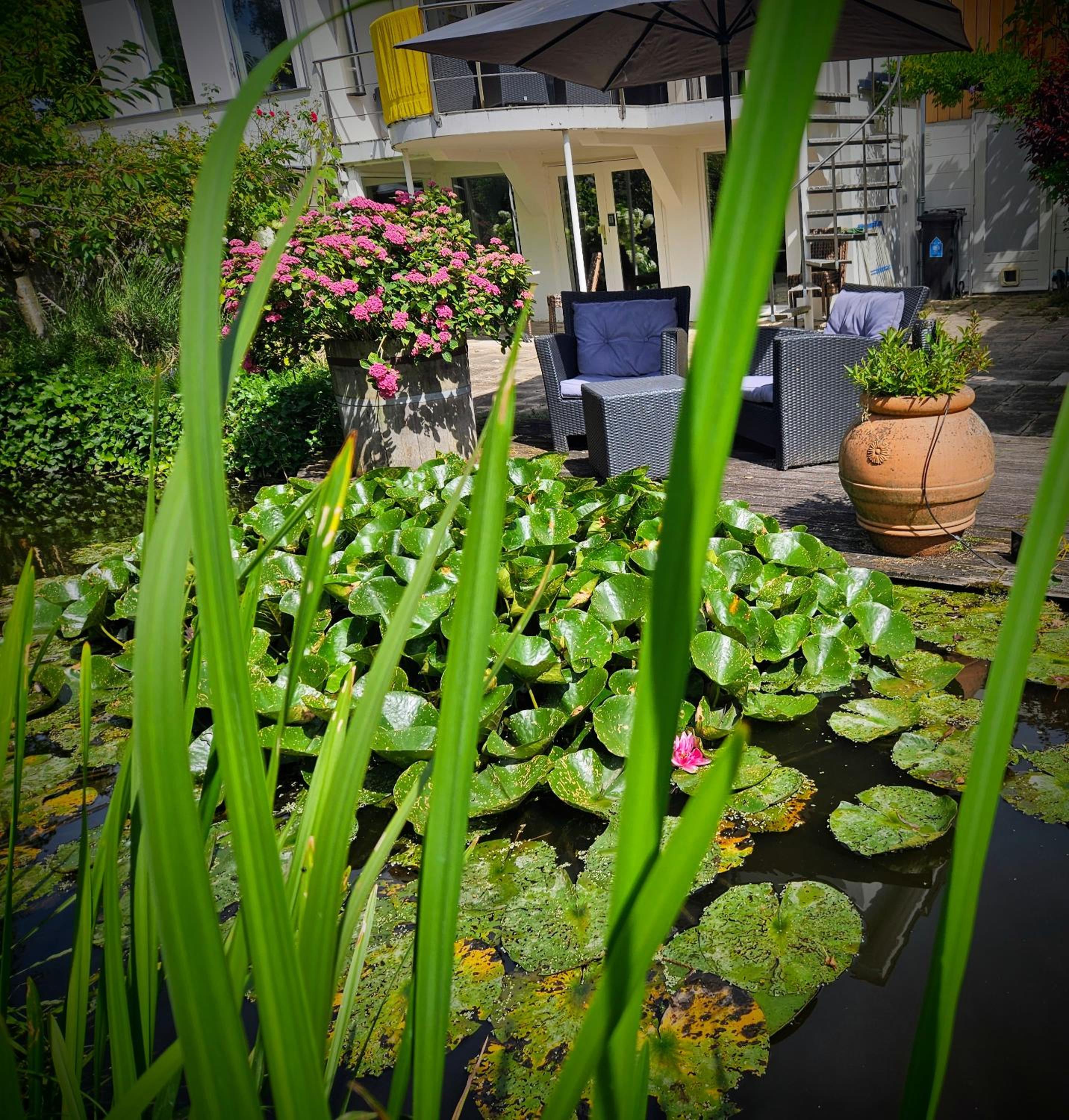 Photo 41