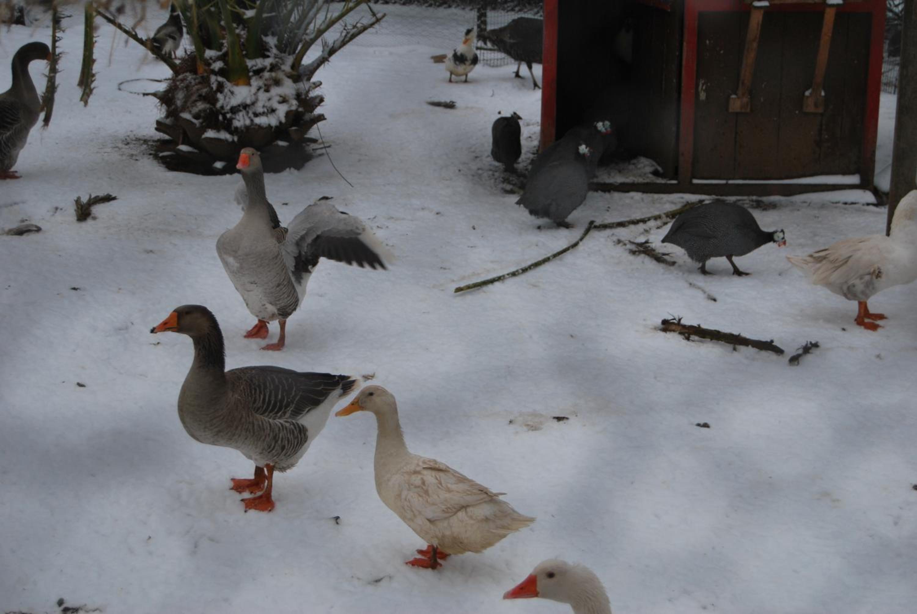 Photo 20
