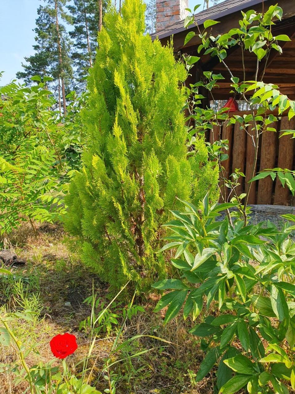 Eco dom v lesu view 5