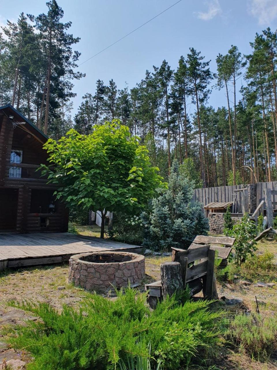 Eco dom v lesu view 2