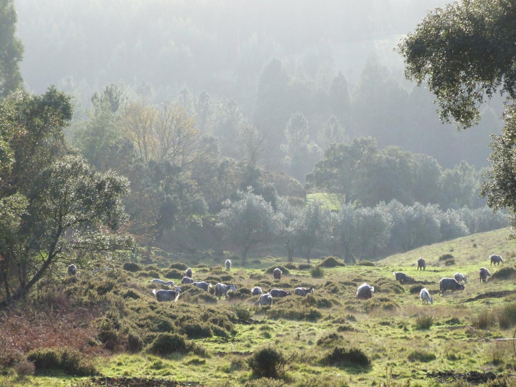 Vumba Agroturismo