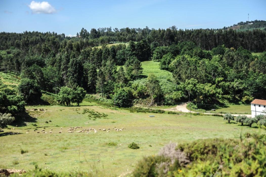 Vumba Agroturismo