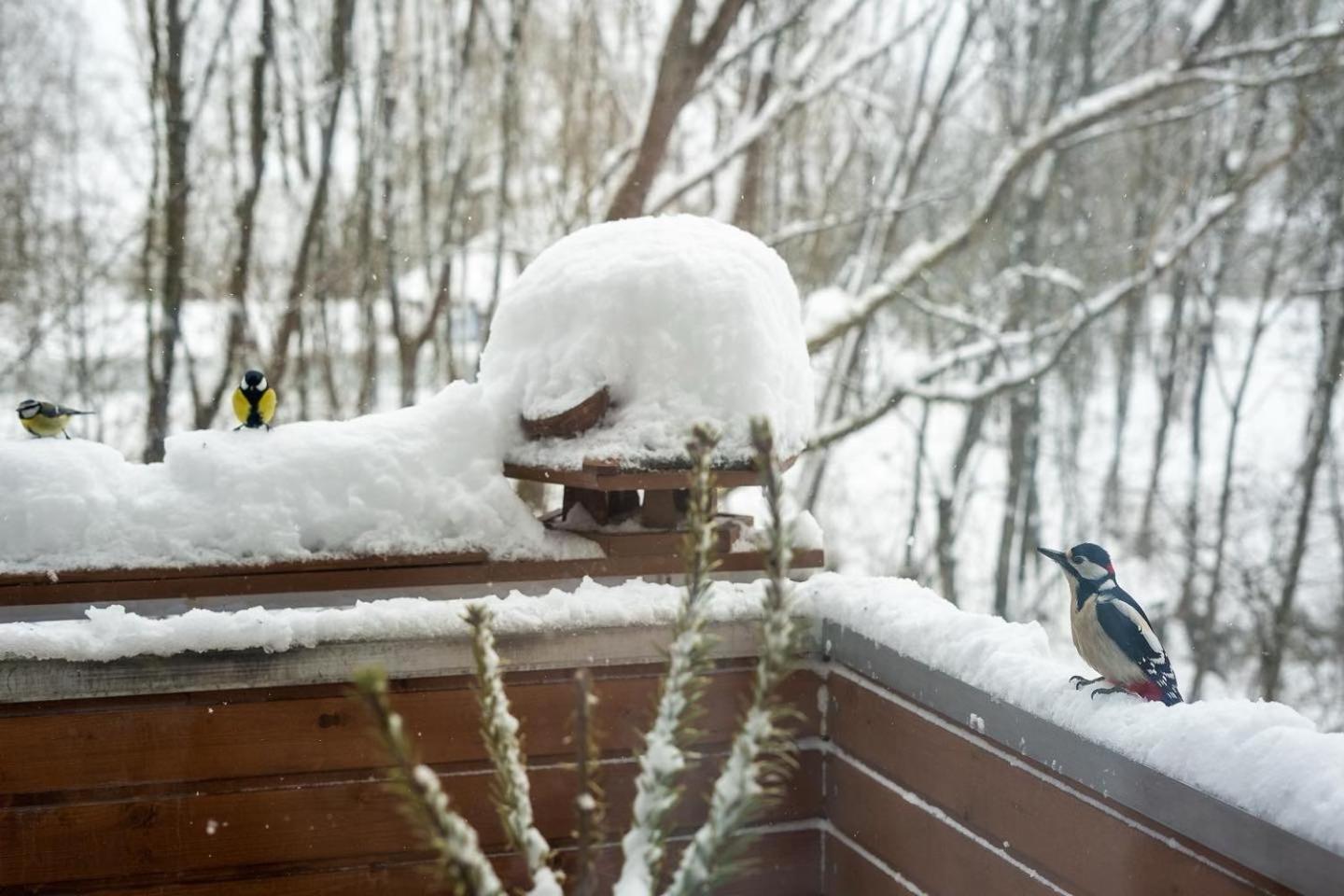 other