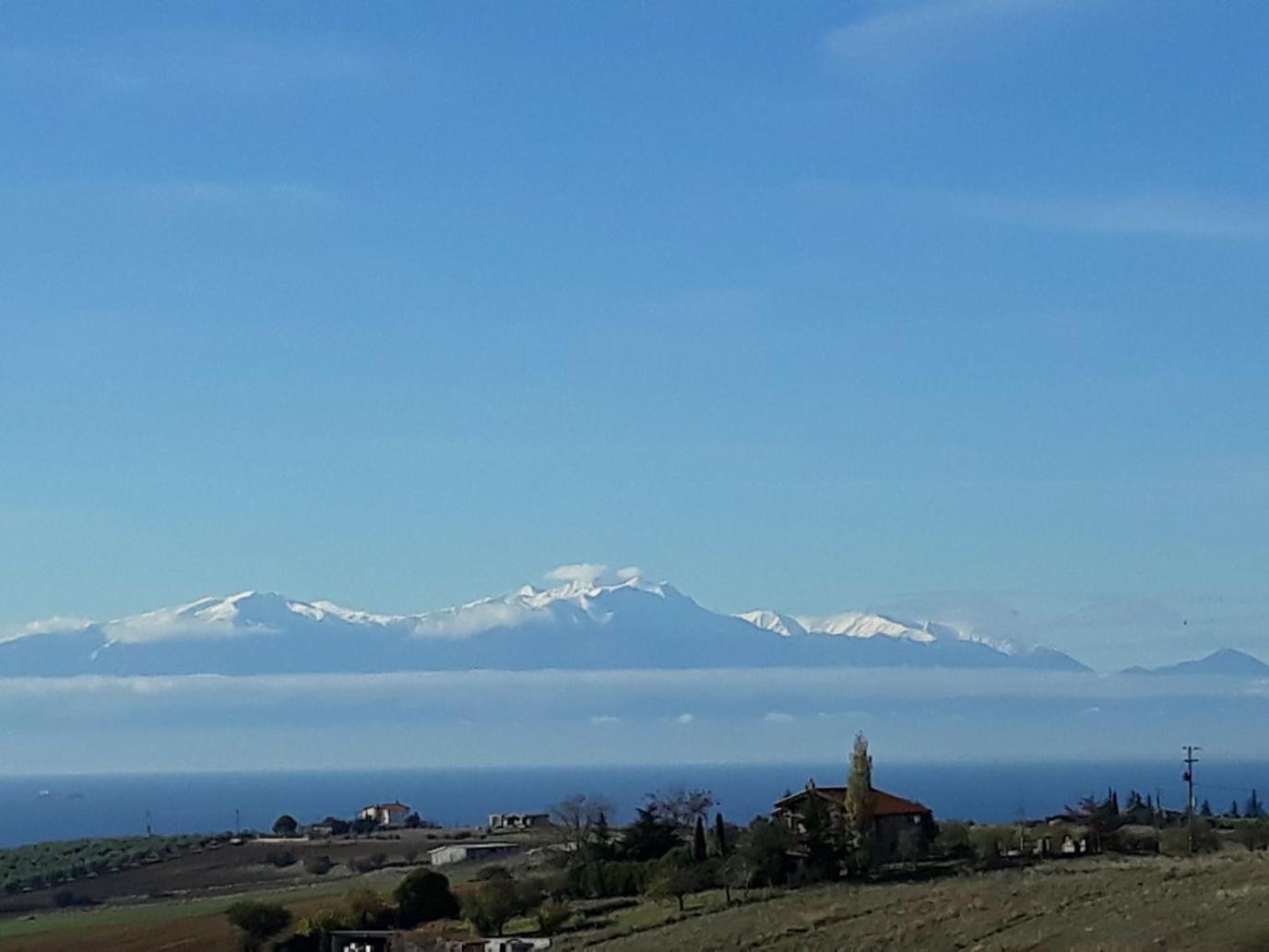 Xronis 1 view 4