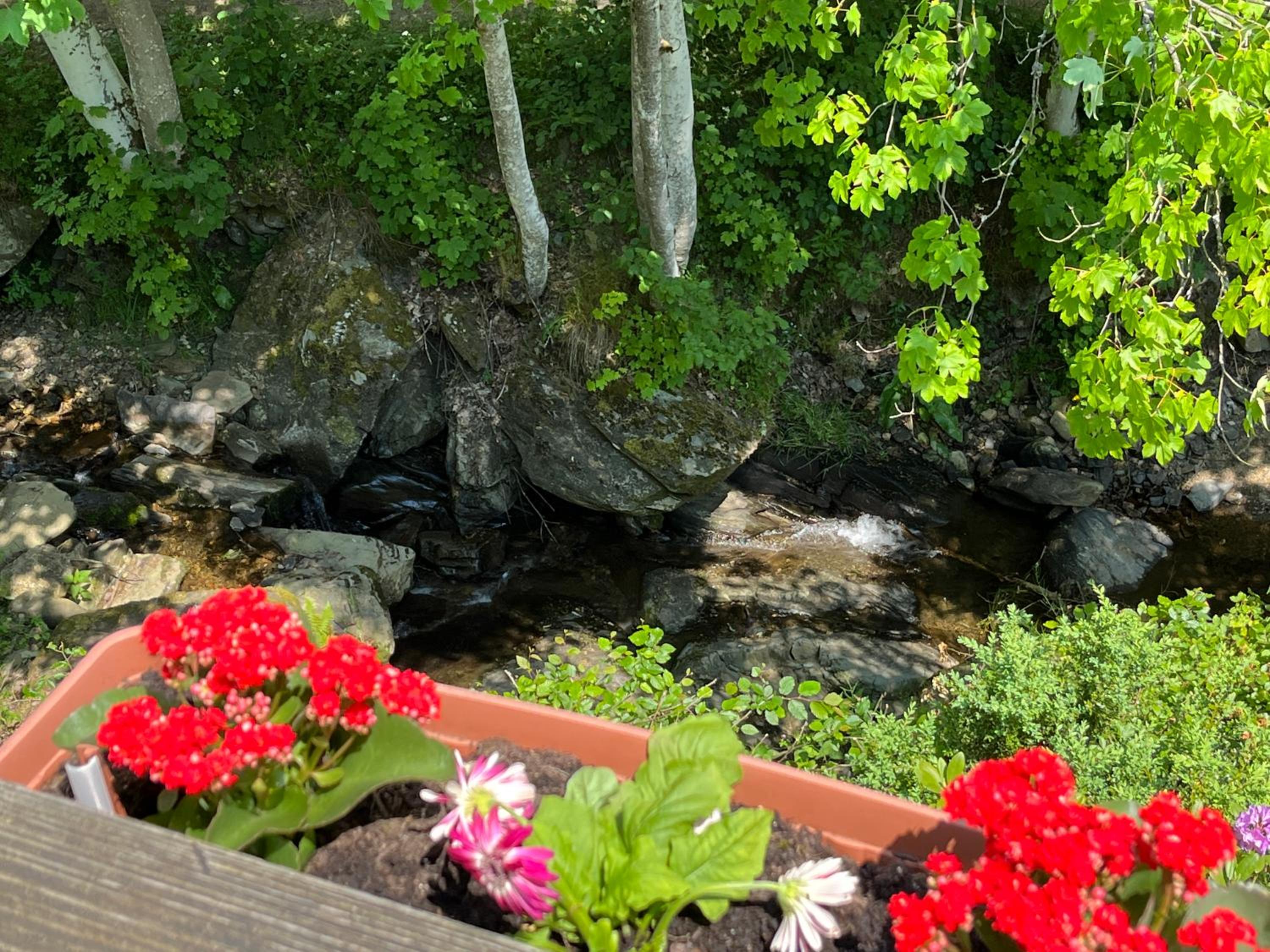 Rivendell 9