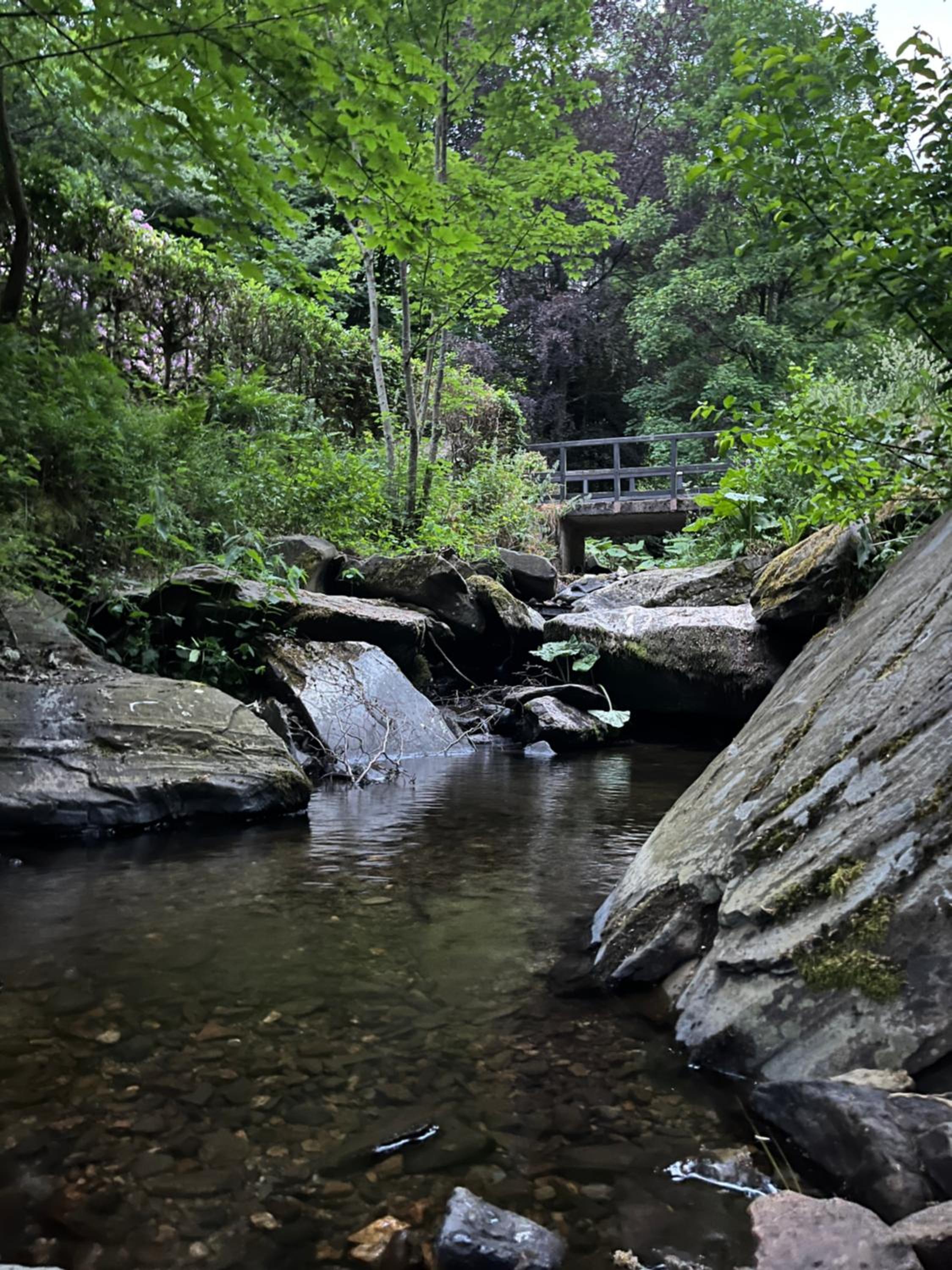 Rivendell 9