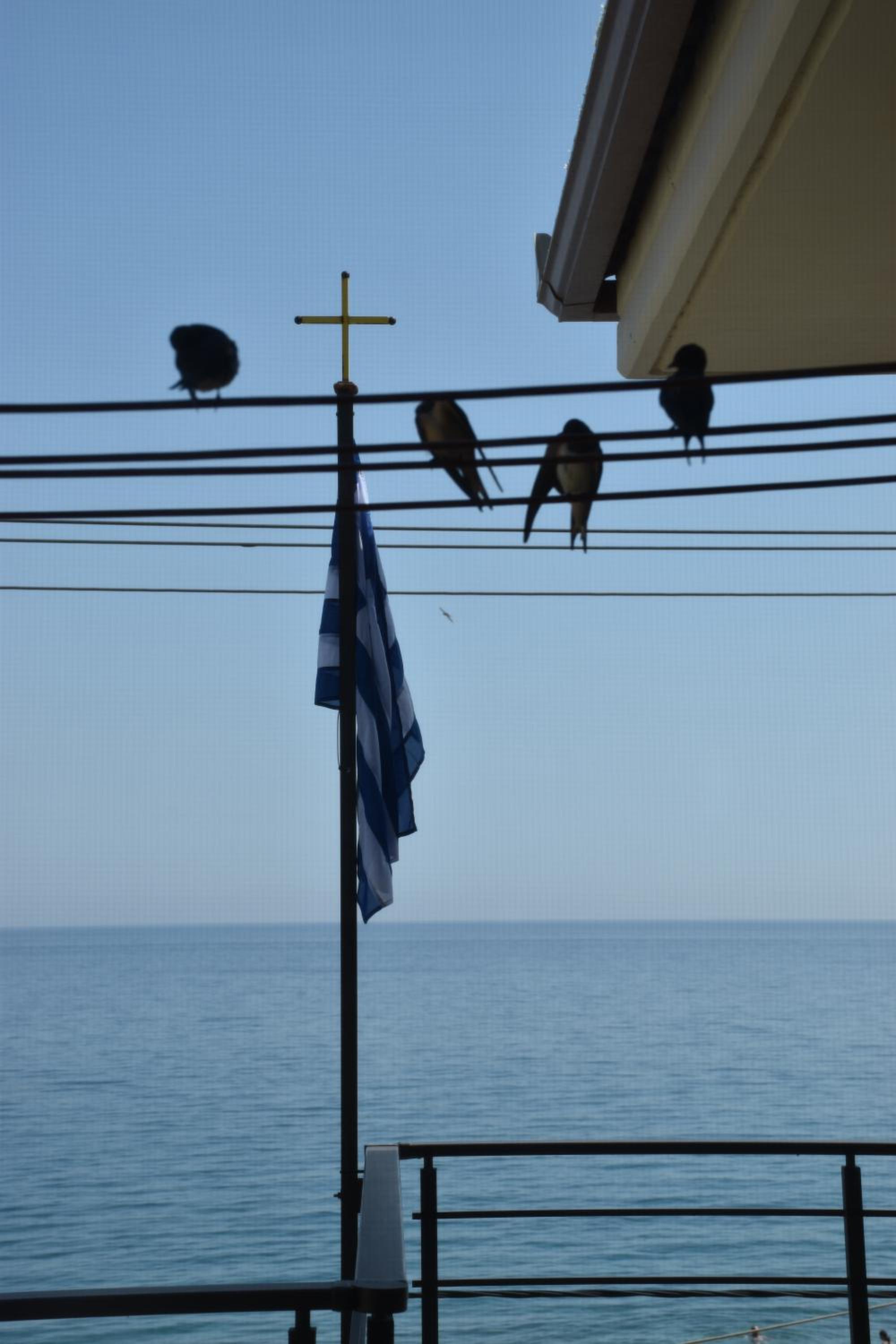 Photo 47