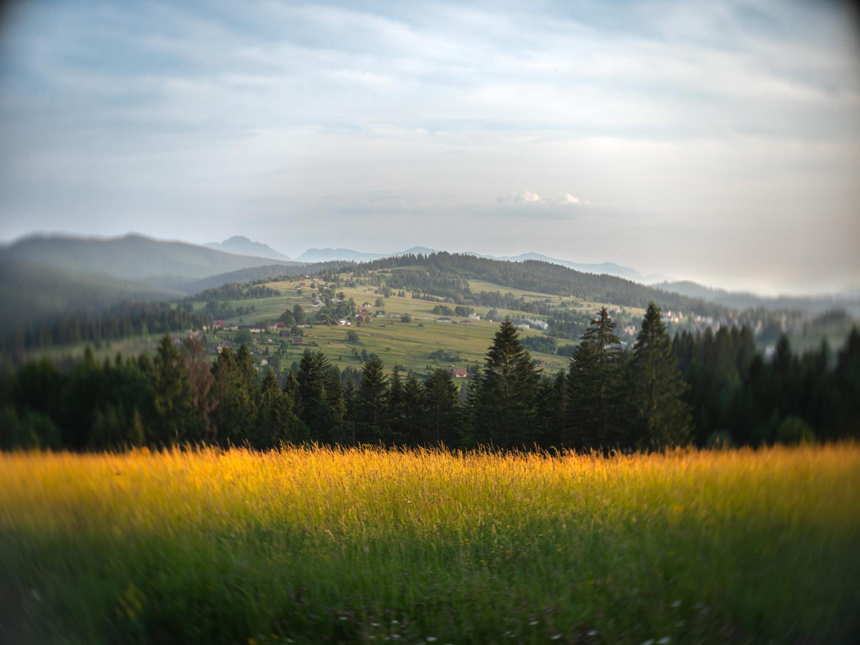 Chalety BUČINA