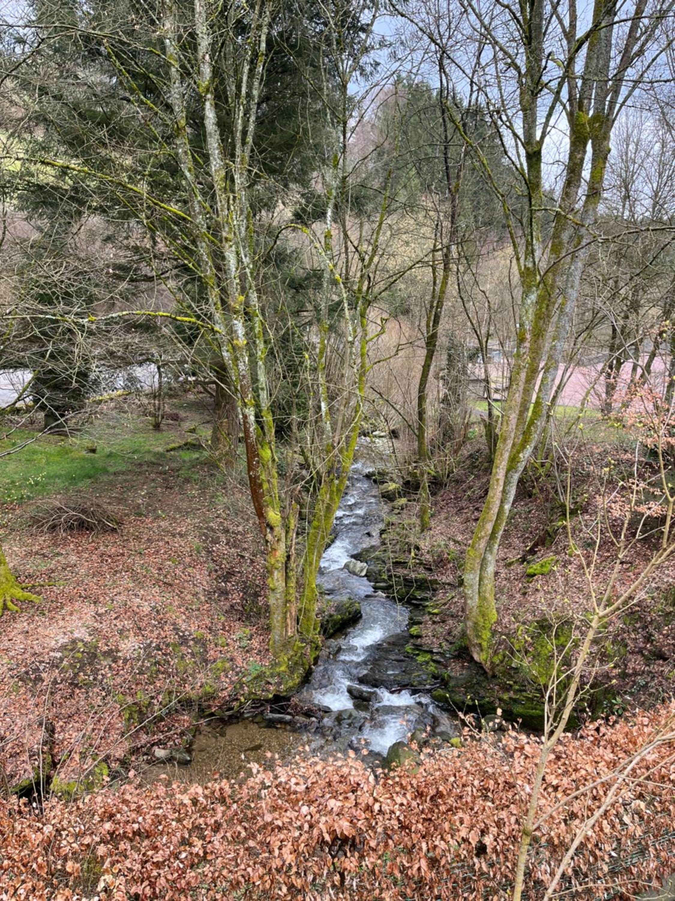 Rivendell 9