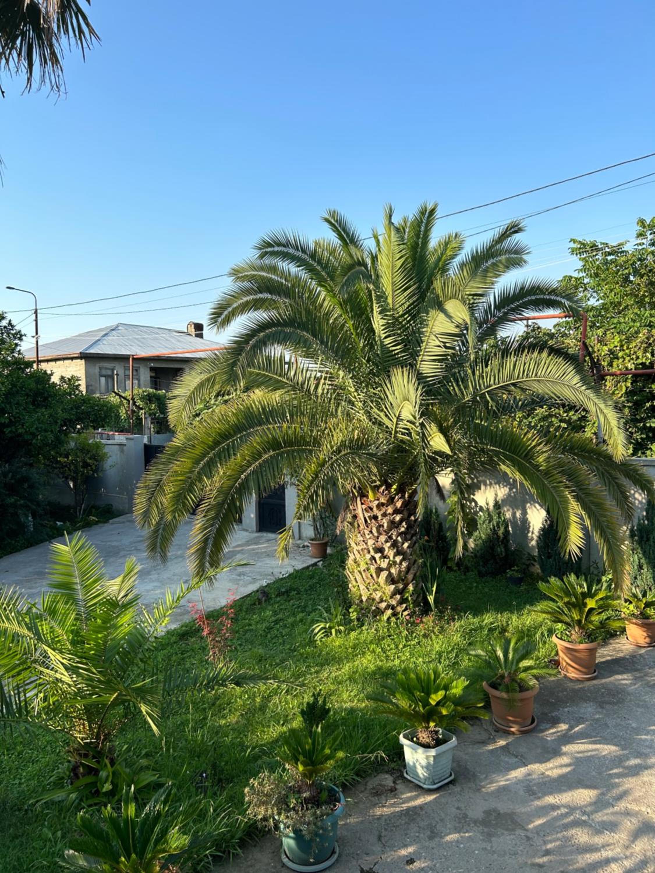 Greenview Guesthouse