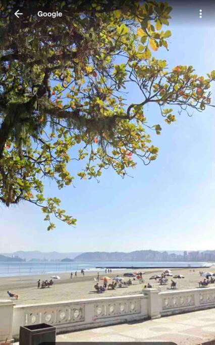 Ap em frente ao aquário - ponta da praia