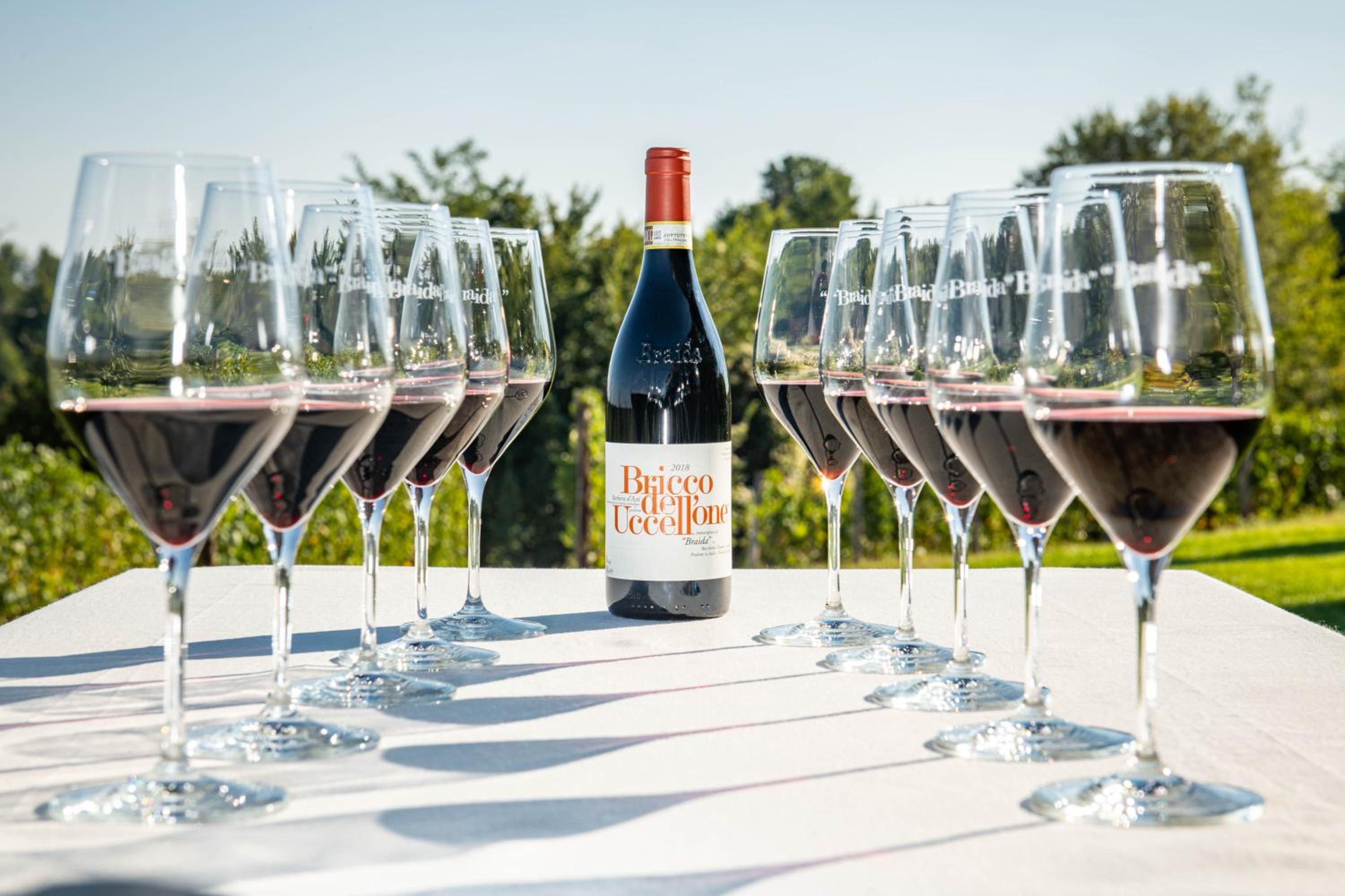 Braida Wine Ośrodek, Zdjęcie 68