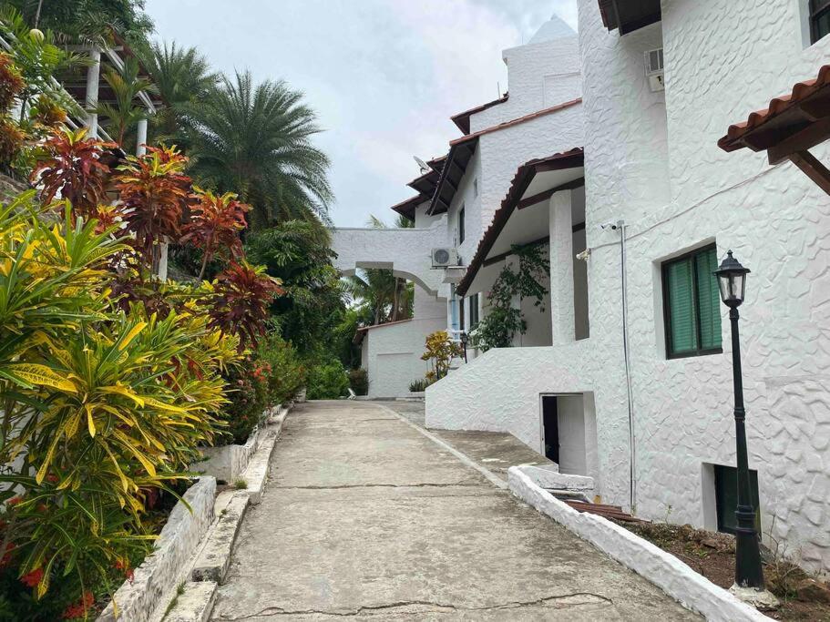 Live an adventure in Taboga 1 view 4