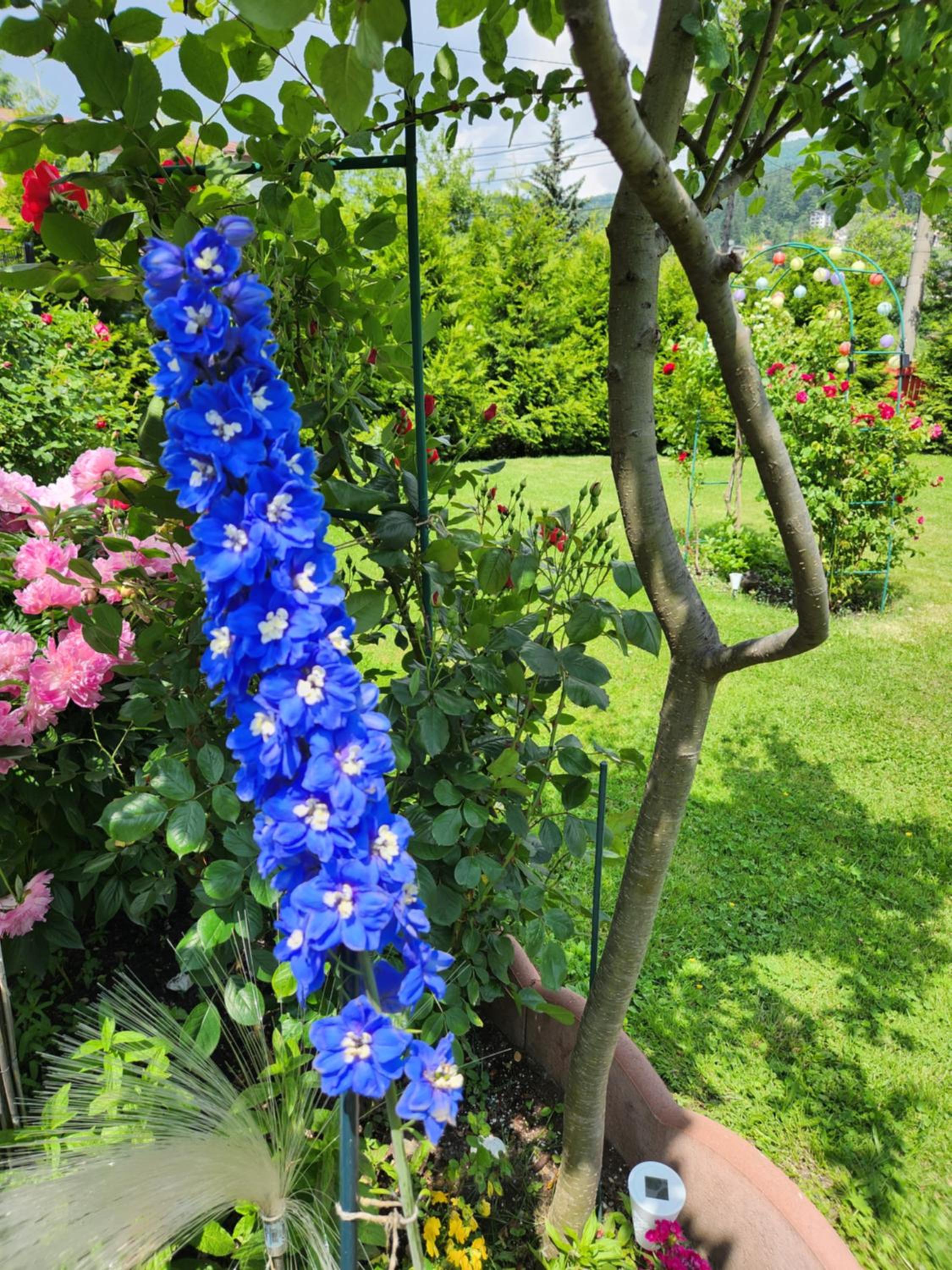 Photo 48