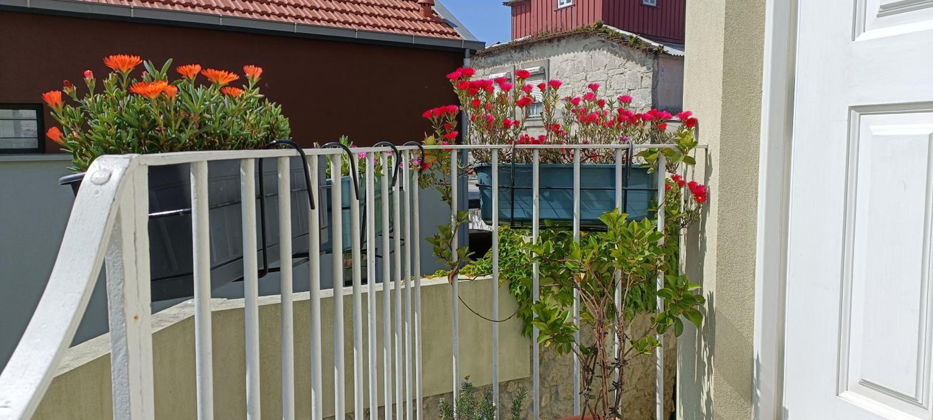 Green House / Casa Verde view 5