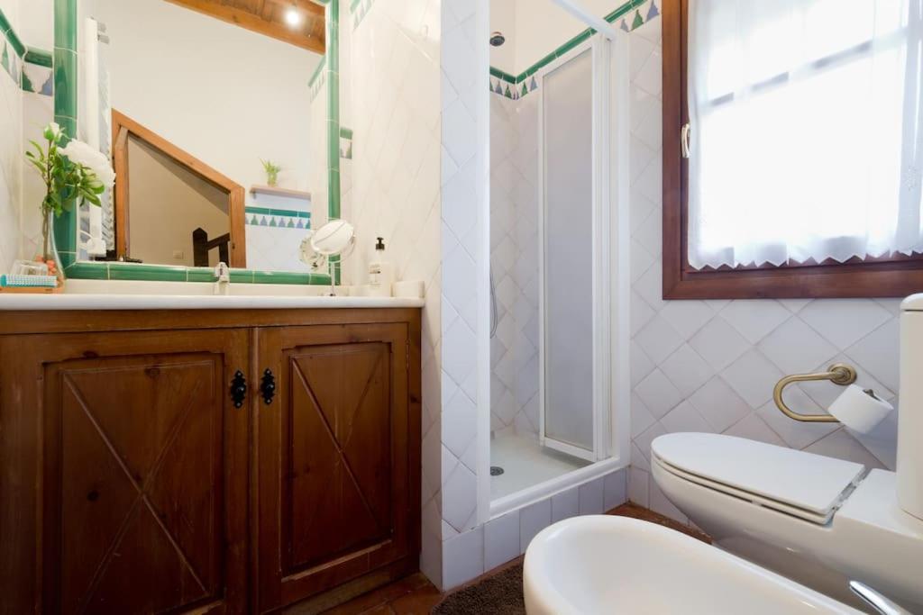 Apartamento Oasis Granada