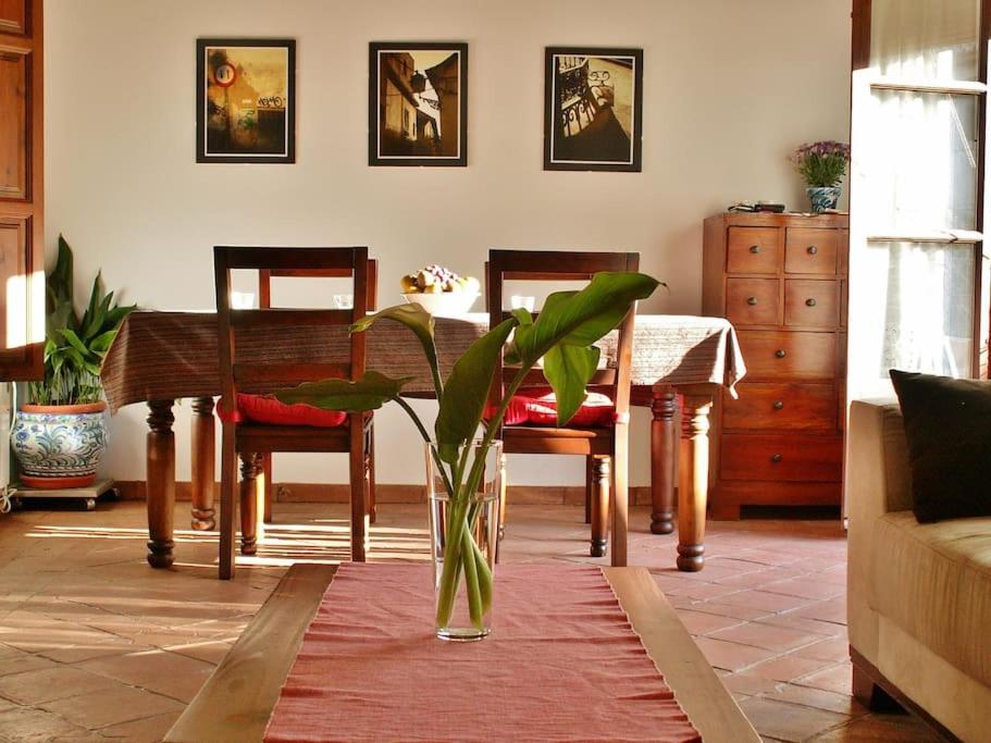 Apartamento Oasis Granada
