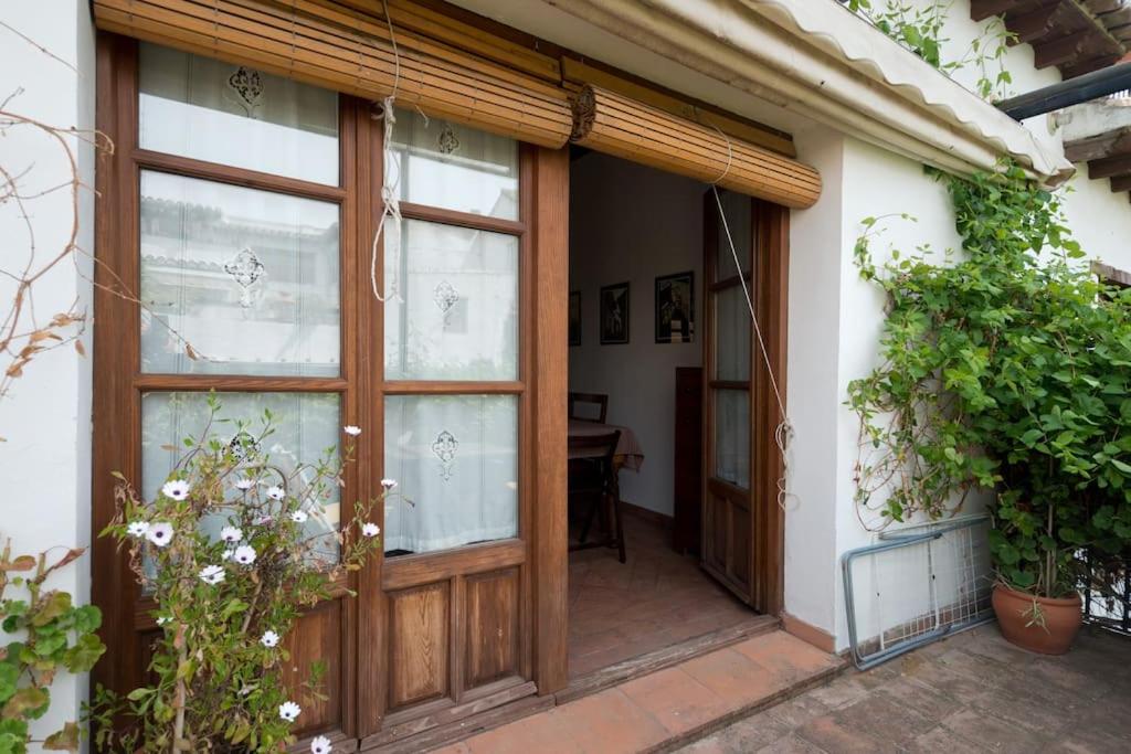 Apartamento Oasis Granada