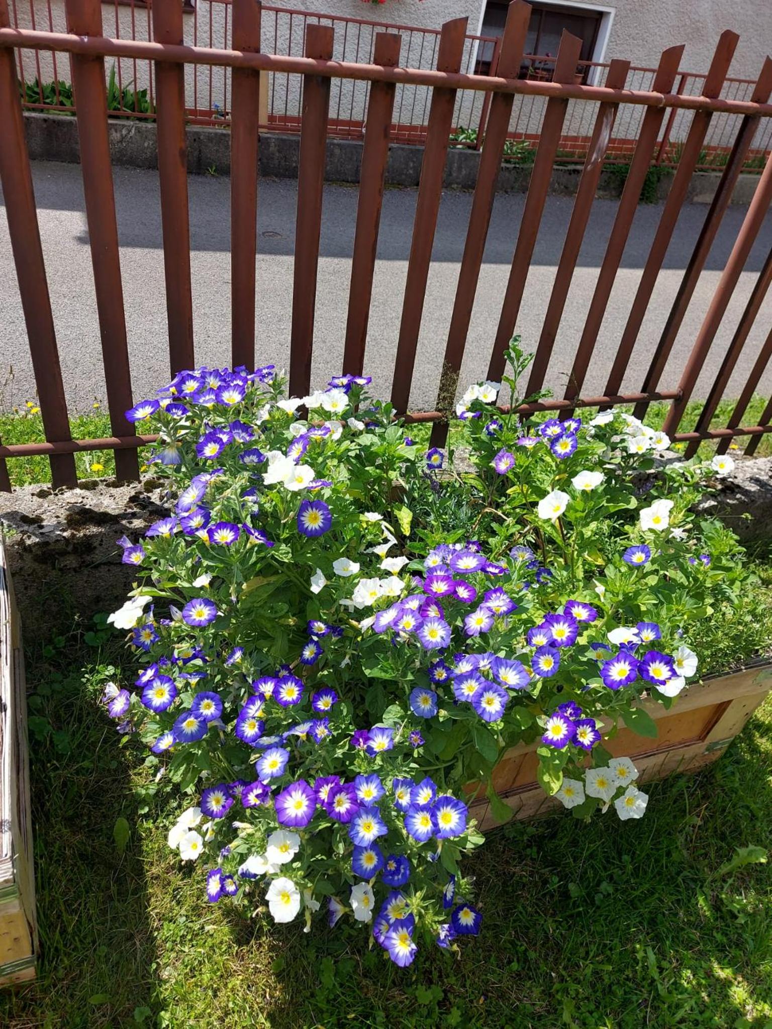 Photo 27