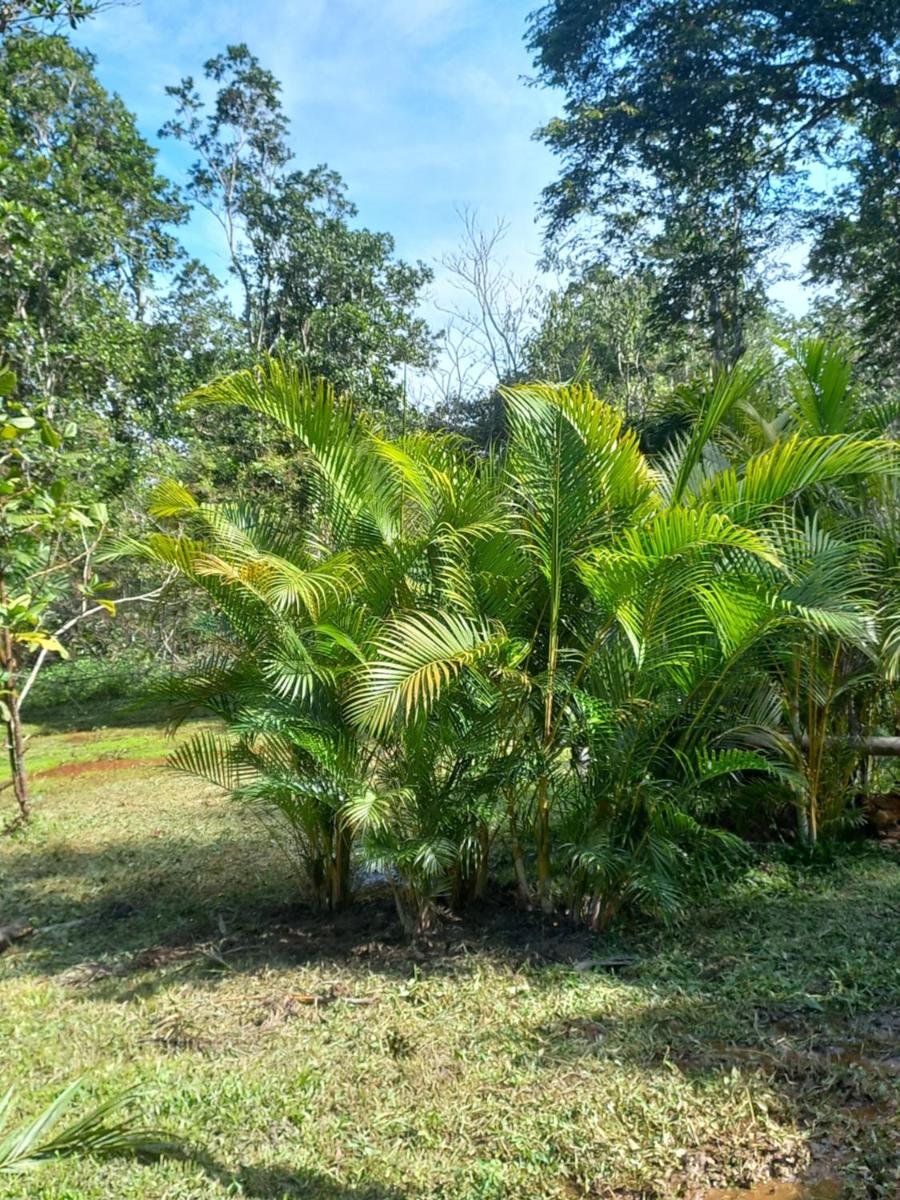 Recanto dos Lobosco