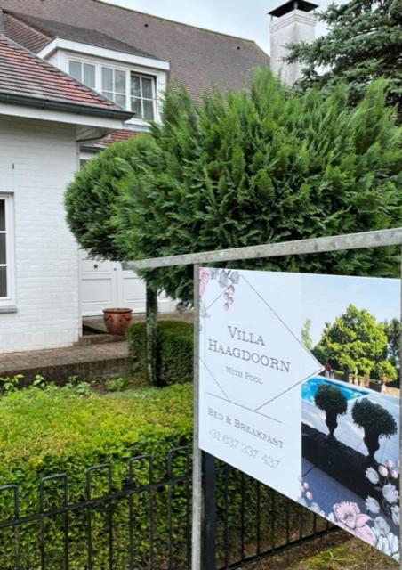Villa Haagdoorn te Achel, 10 personen, 12 personen op aanvraag, met Ecologisch zwembad in een oase van rust!