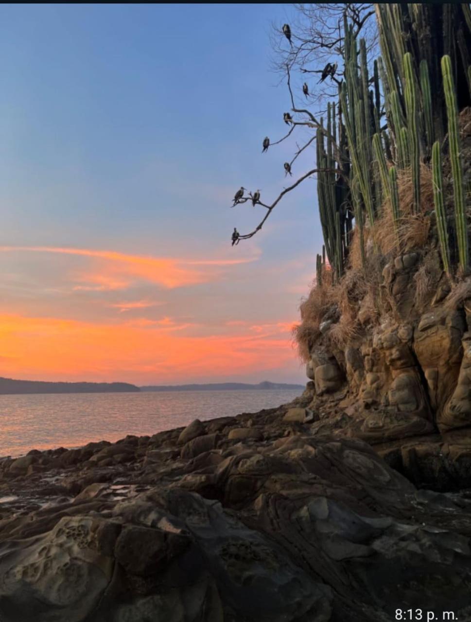 Bioluminiscencia Hostel Tours - South