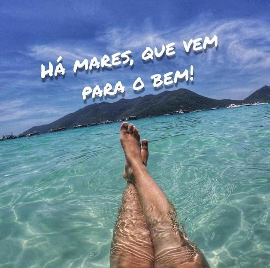 Kitnetsantos 01
